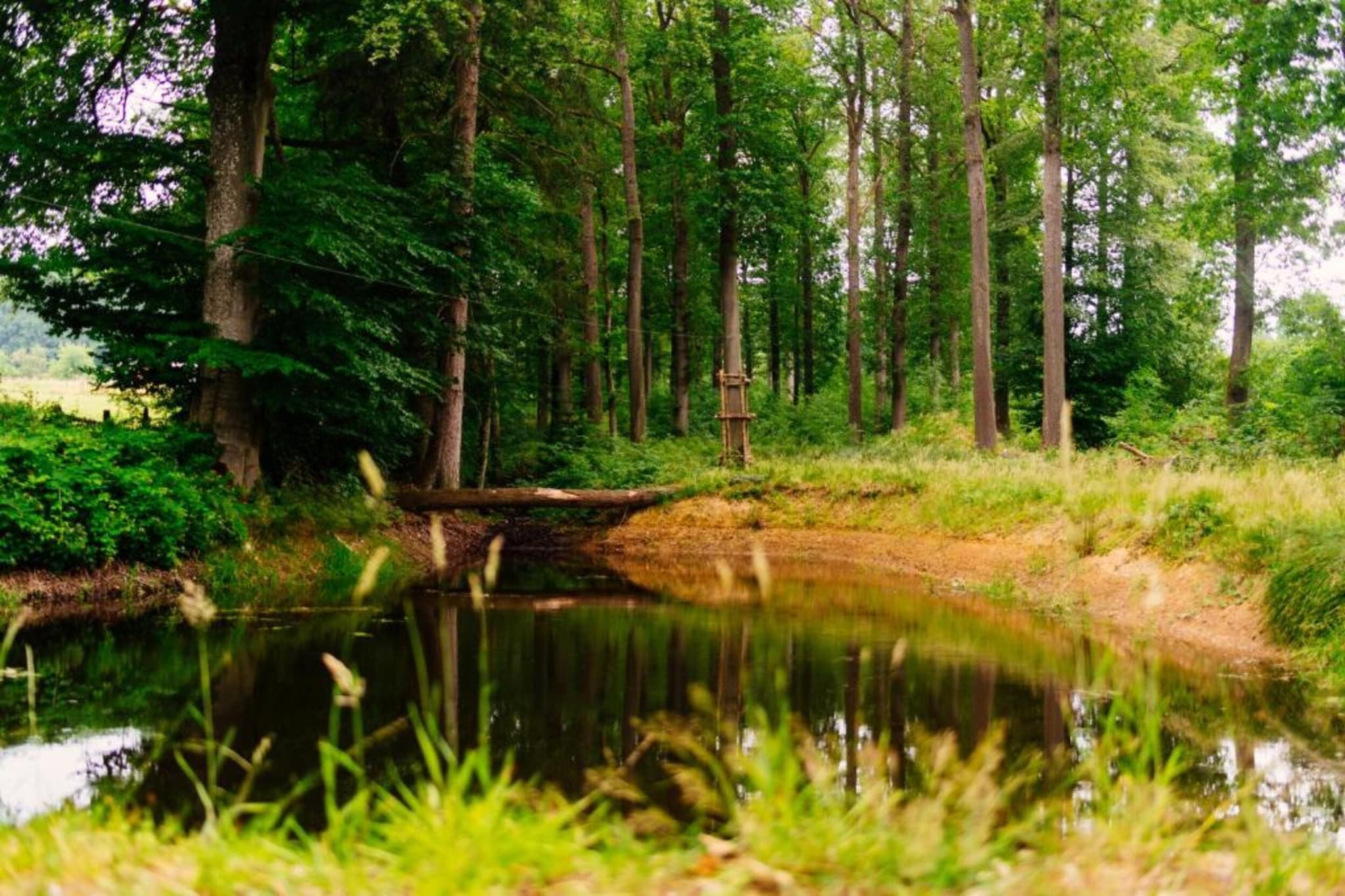 Le Noyer-Gebiete Sommer 20 km