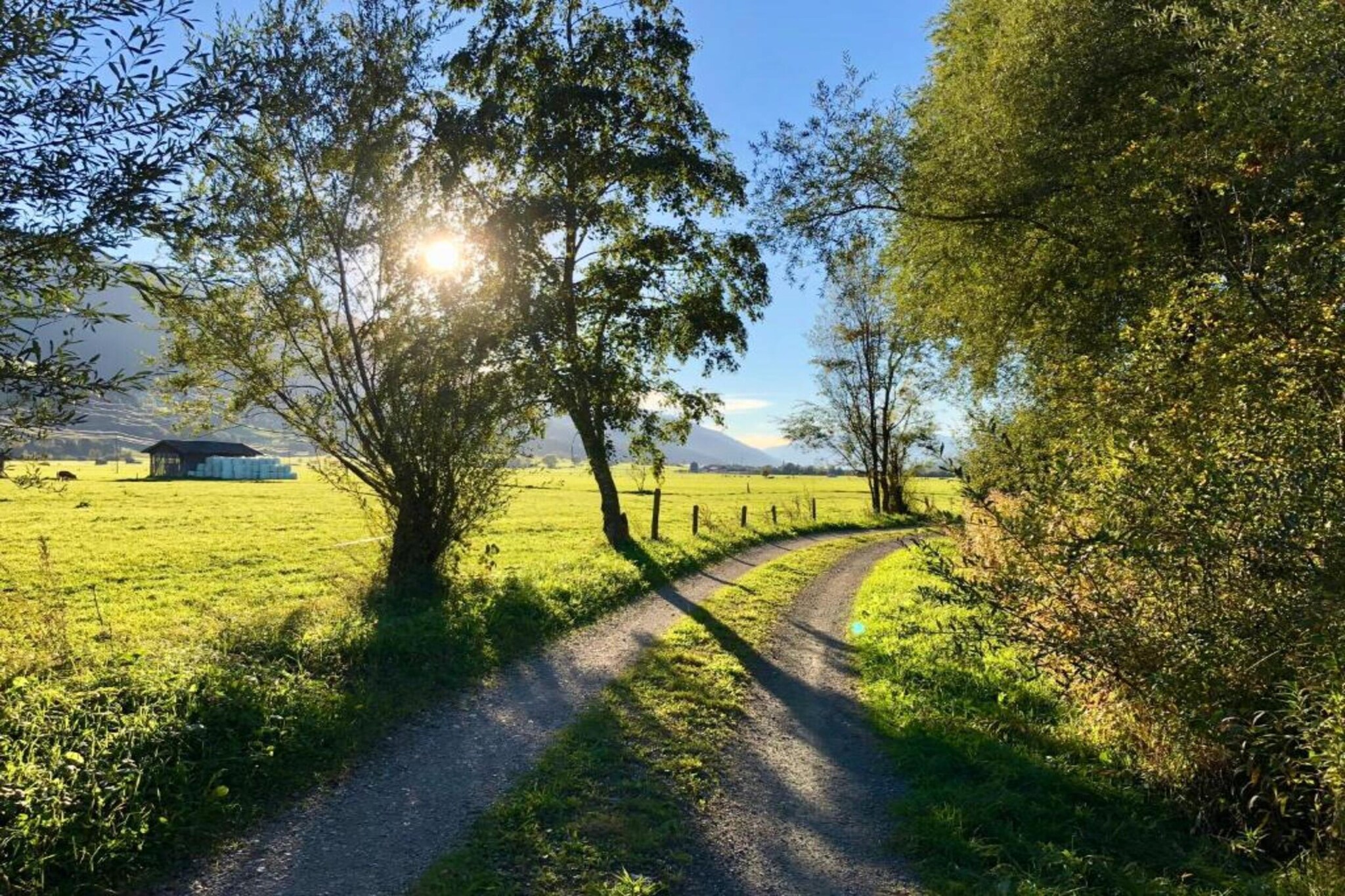 Appartment Roswitha-Gebieden zomer 20km