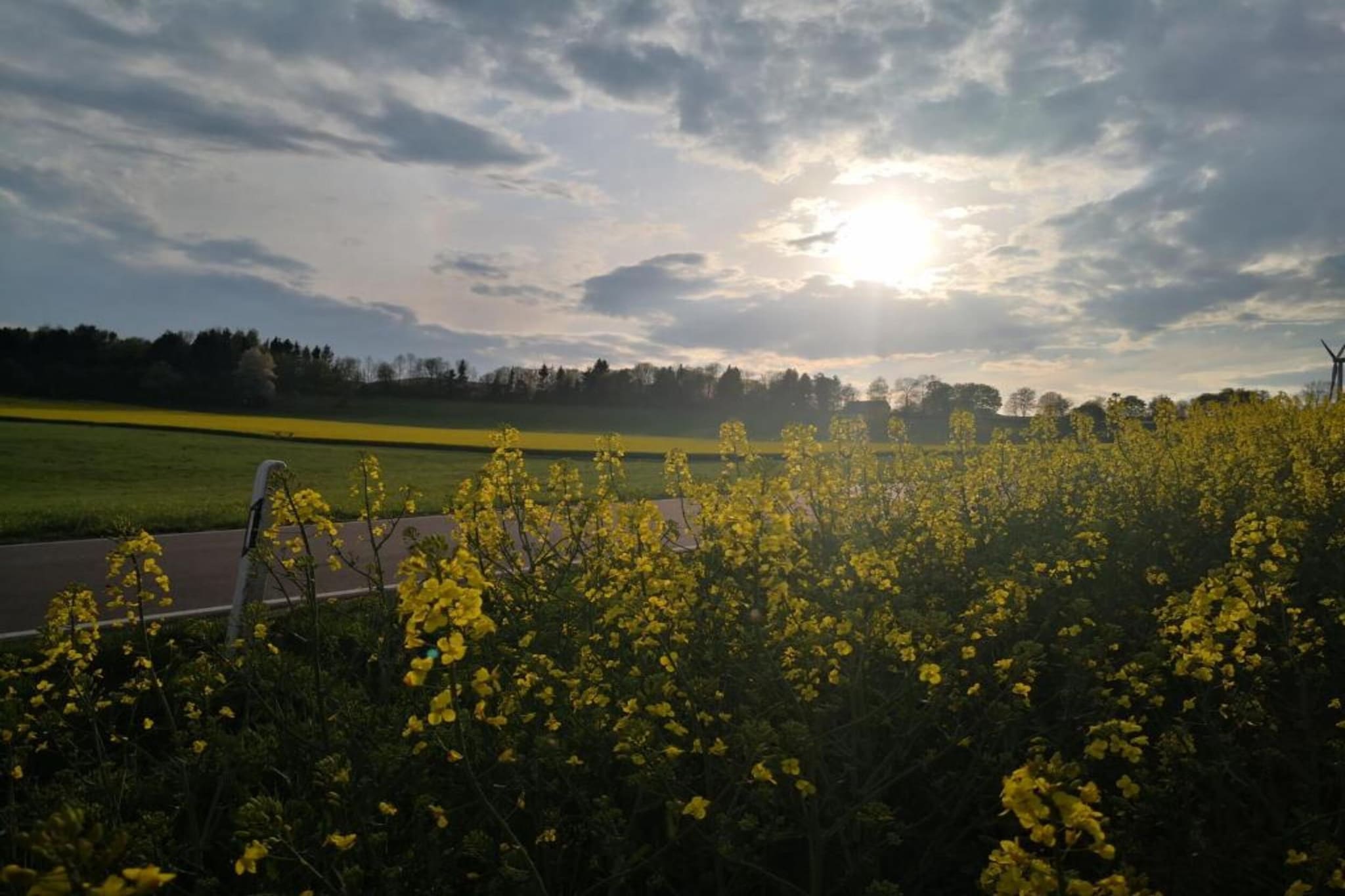 Feriendorf Reinskopf 4-Gebiete Sommer 5 km