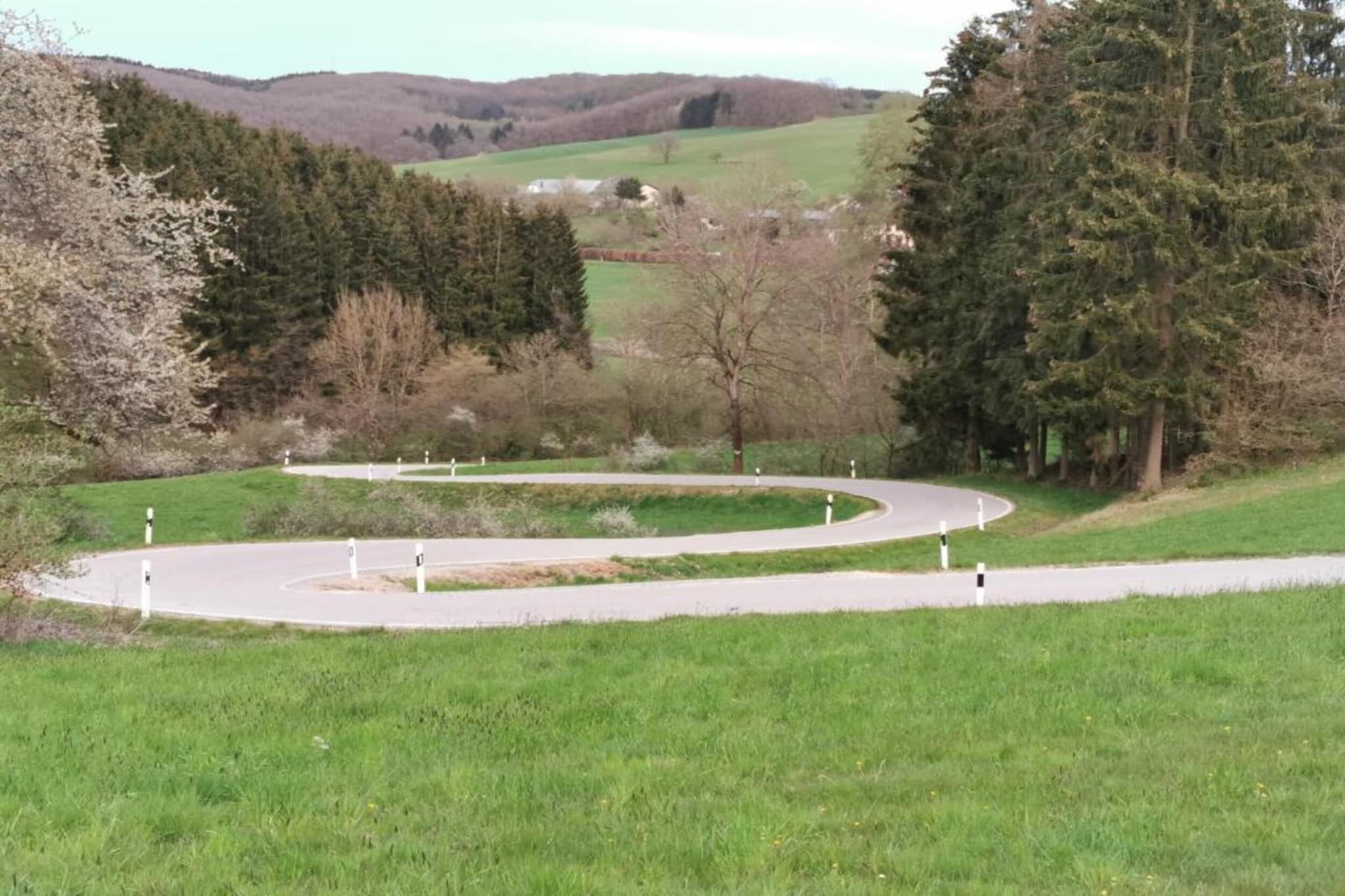 Feriendorf Reinskopf 4-Gebiete Sommer 5 km