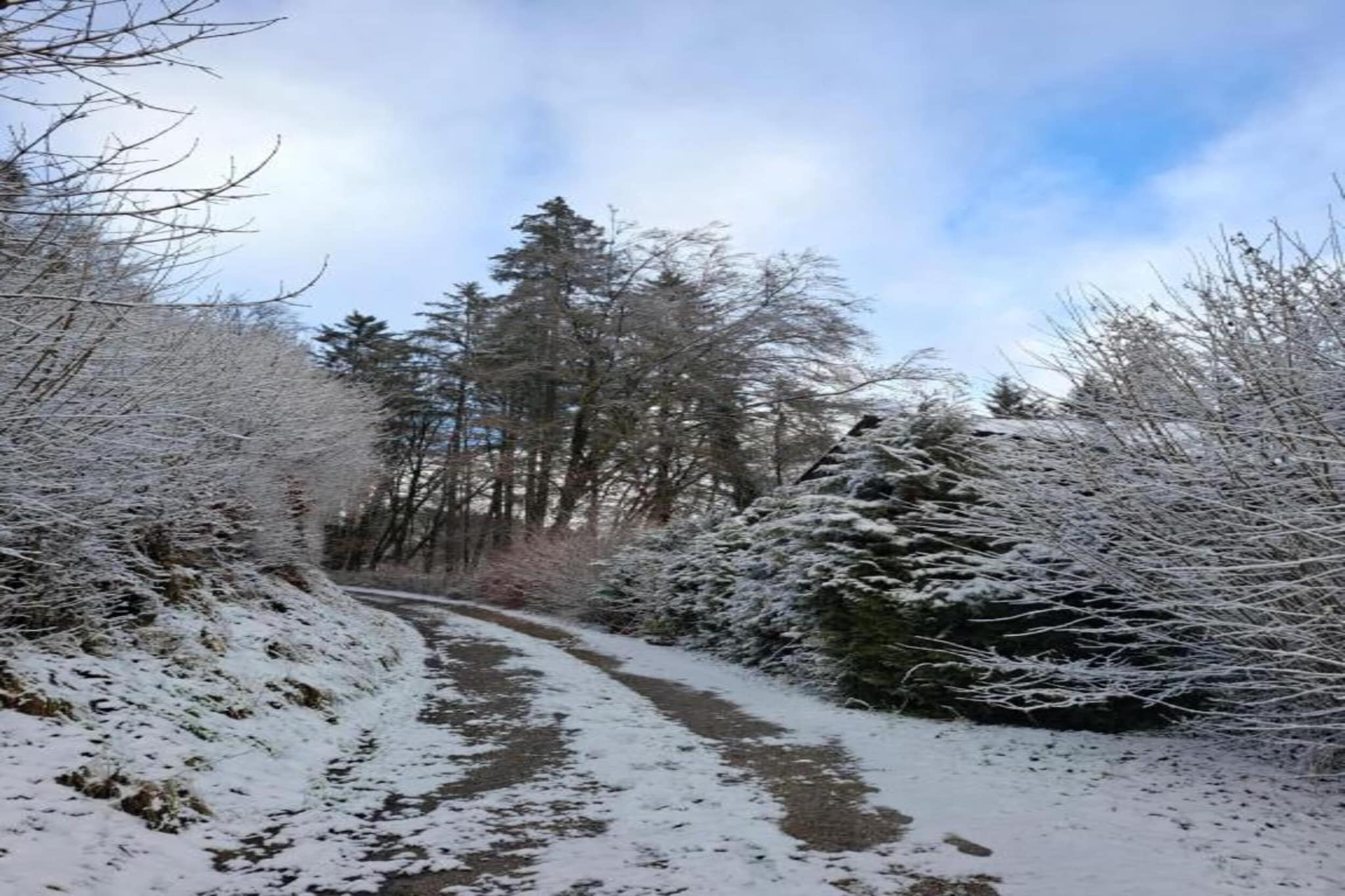 Feriendorf Reinskopf 4-Gebiet Winter 5 km