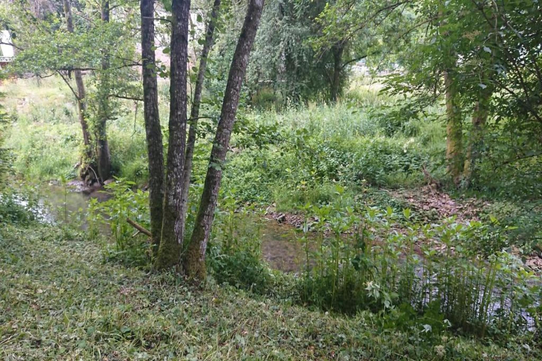 Feriendorf Reinskopf 4-Gebiete Sommer 5 km