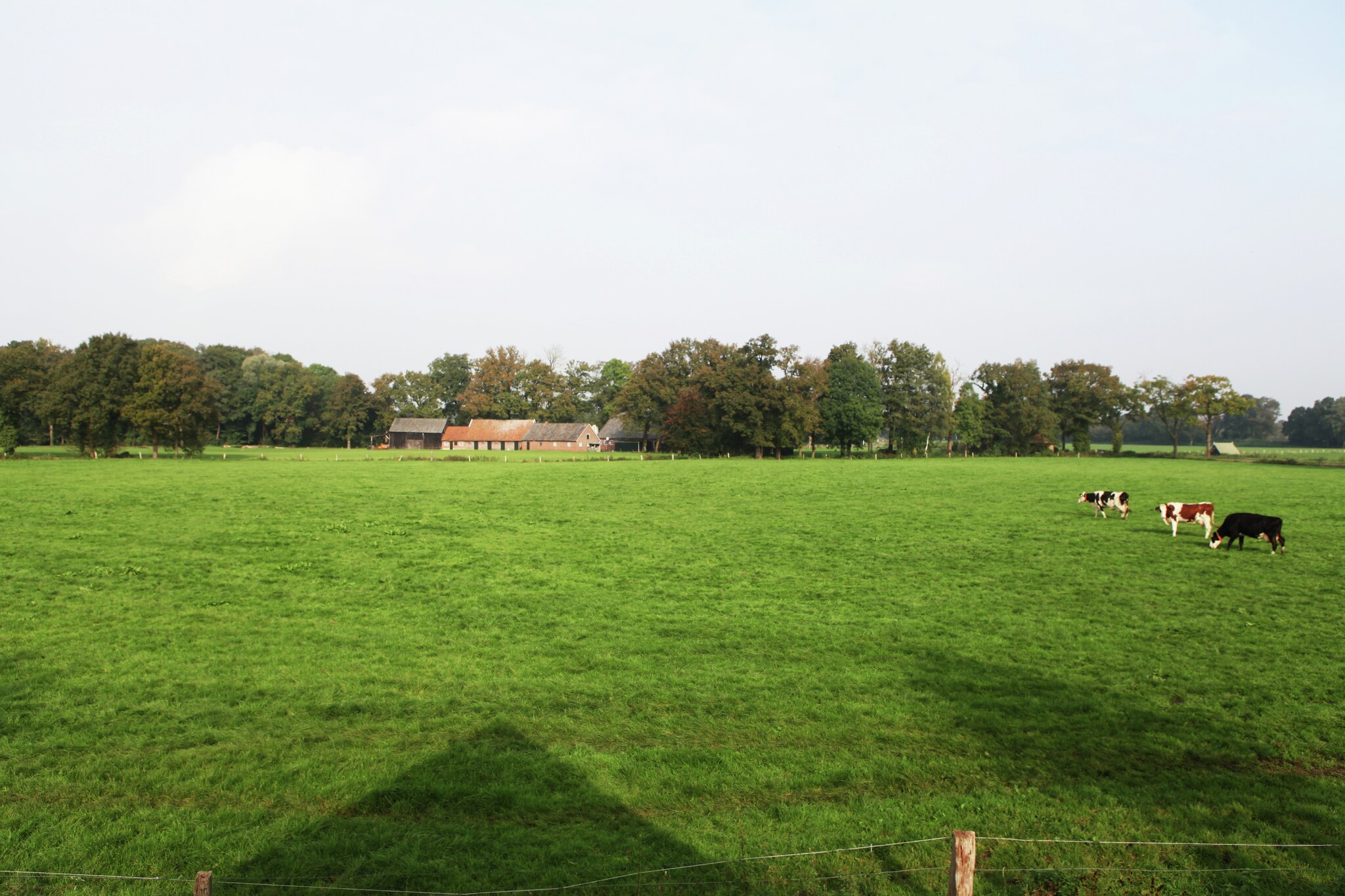 Kotman's spieker 6 persoons-Uitzicht zomer