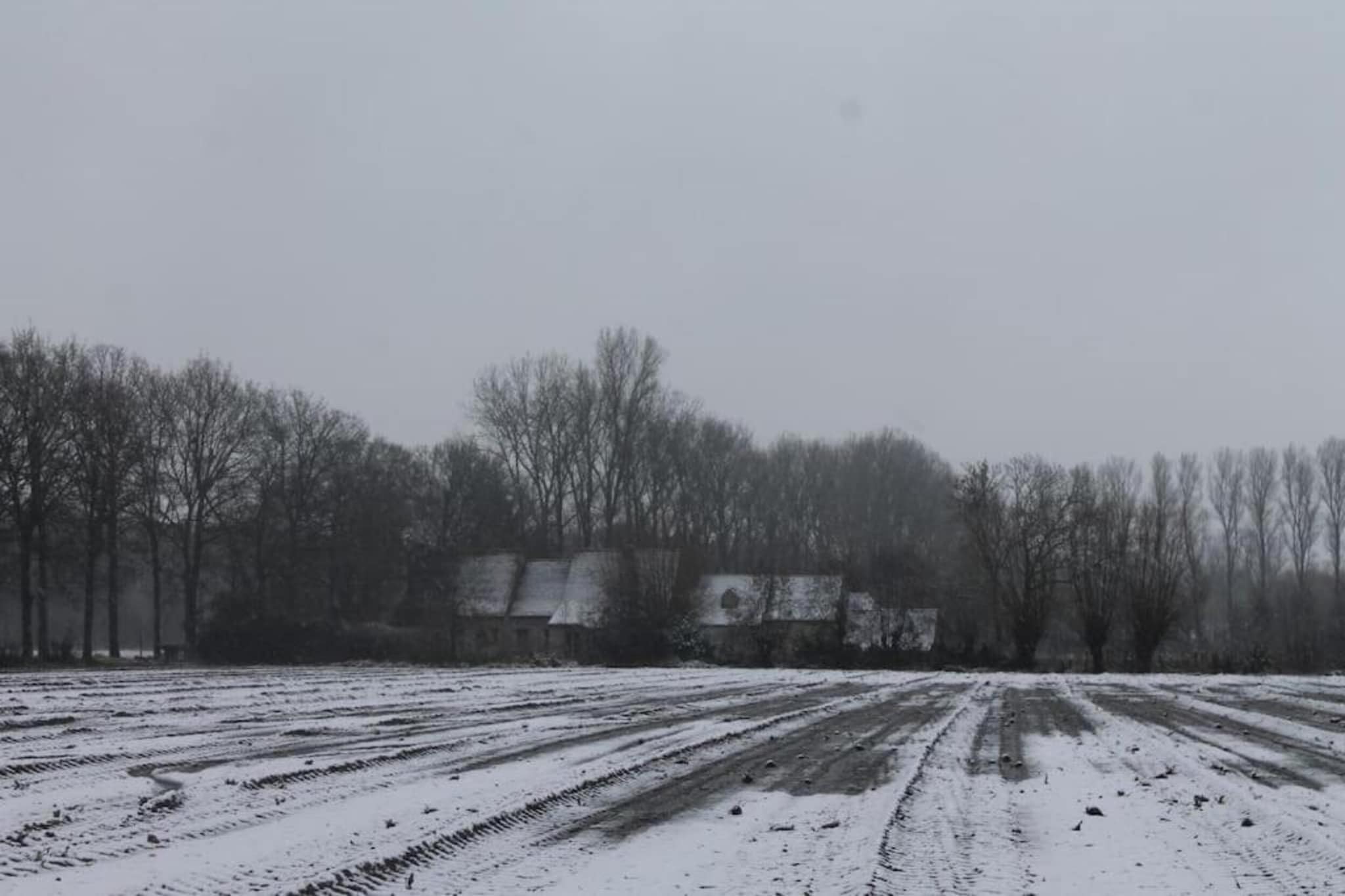 Sylvies lodge-Area winter 20km