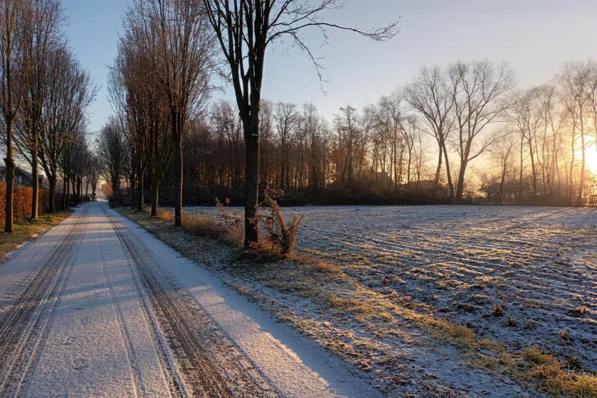 Sylvies lodge-Area winter 20km