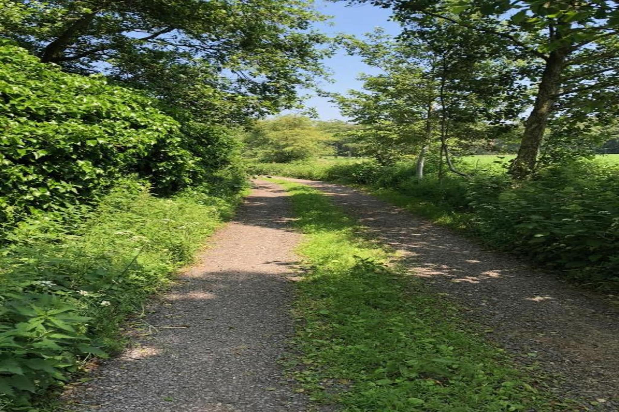 Sylvies lodge-Areas summer 20km