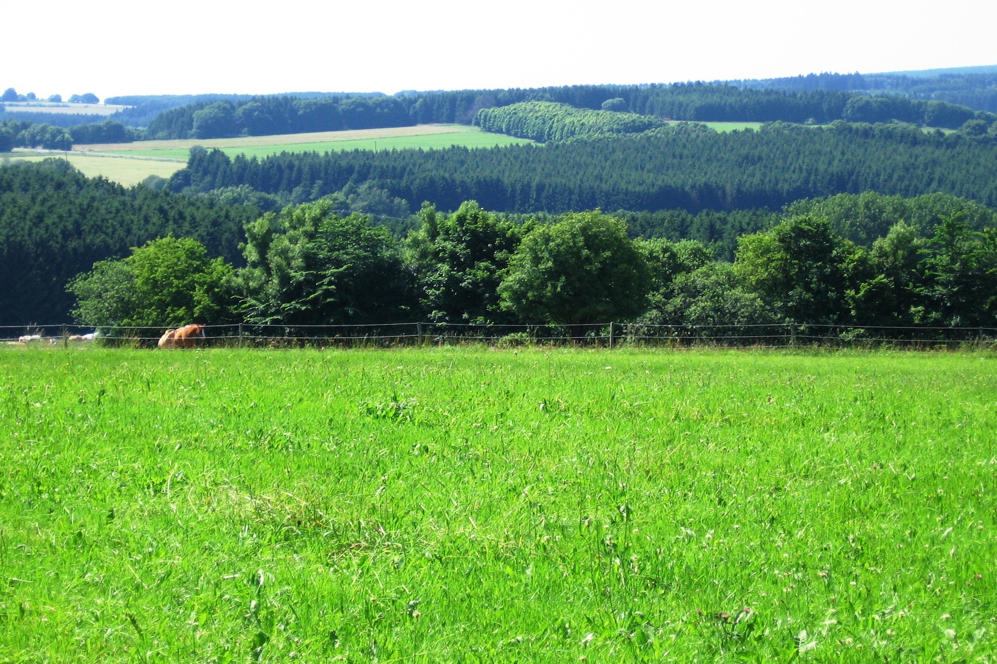An den Wiesen-Sfeer