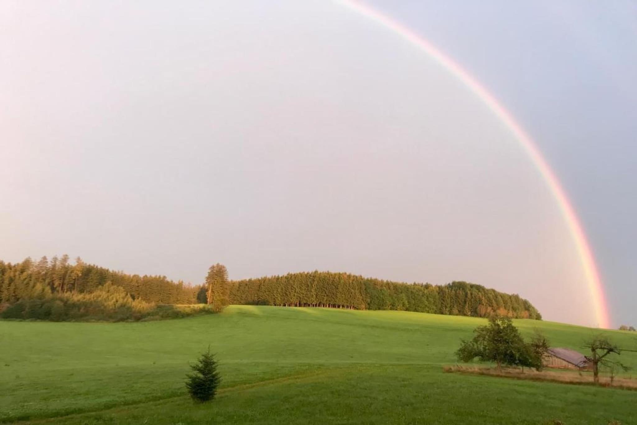 Ferien im Oberallgäu-Gebiete Sommer 20 km