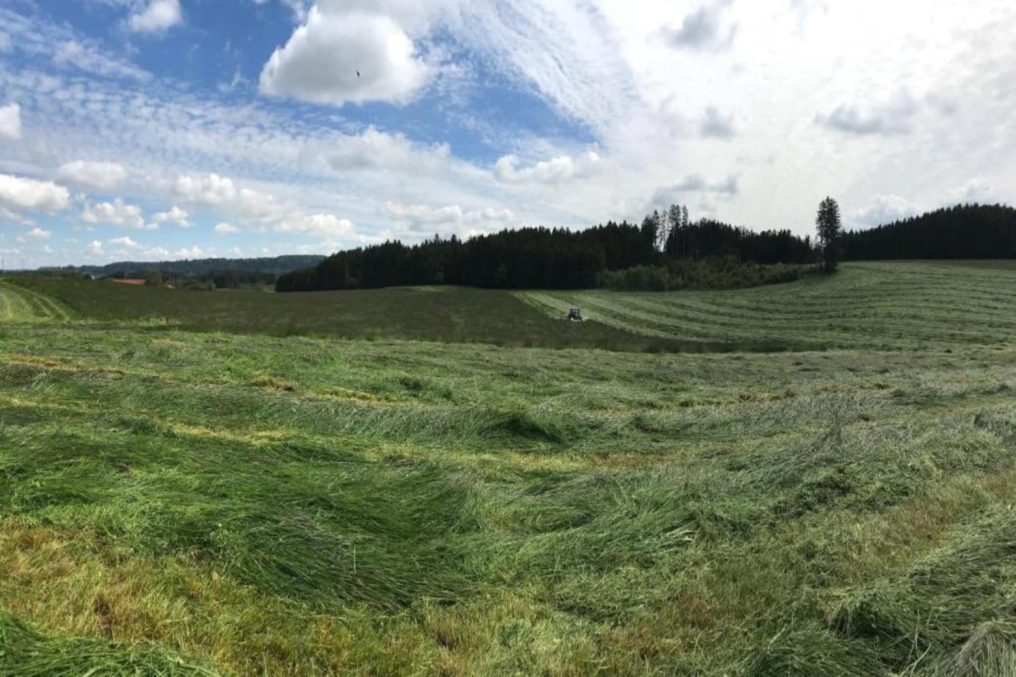 Ferien im Oberallgäu-Gebiete Sommer 20 km