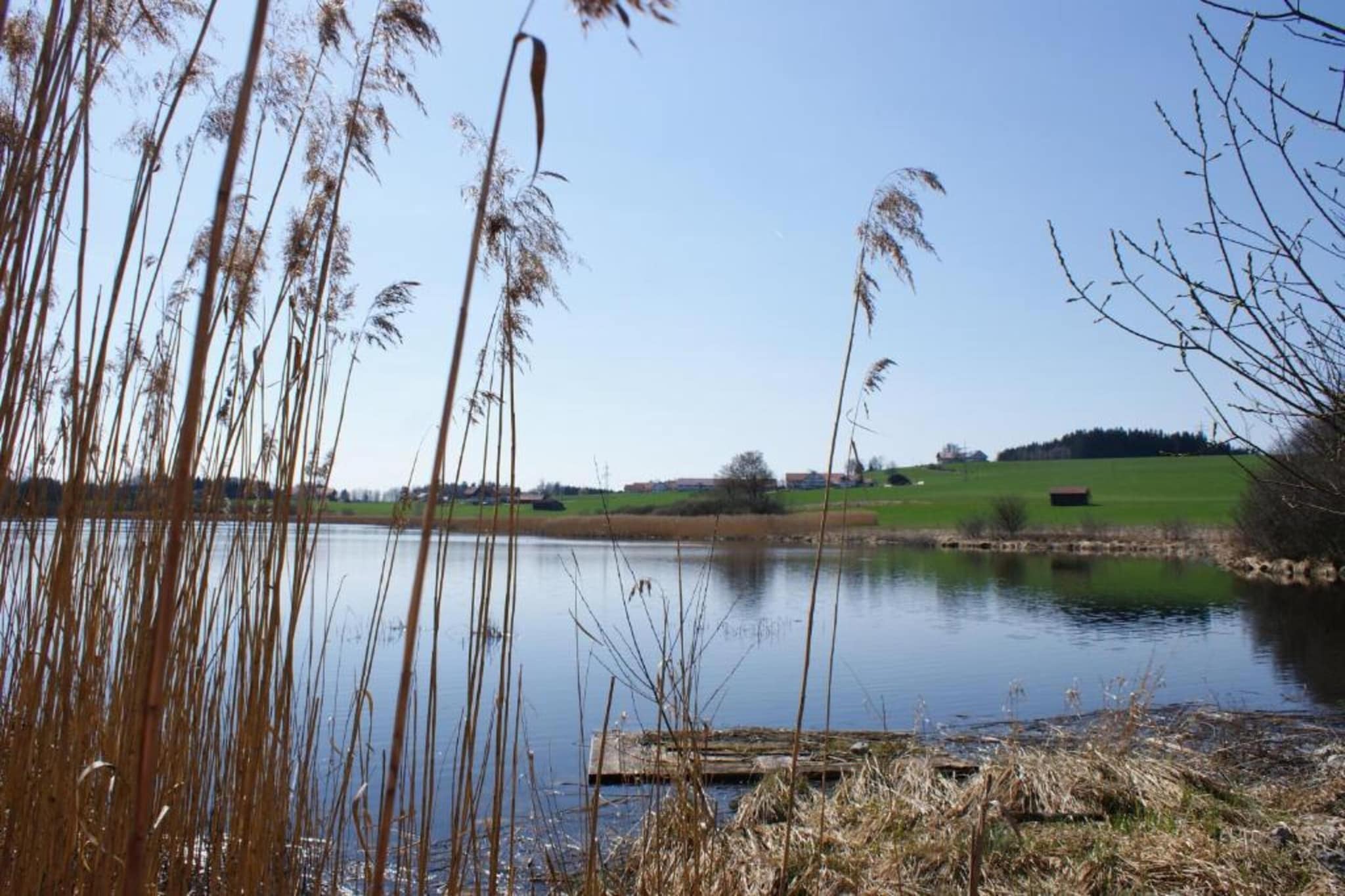 Ferien im Oberallgäu-Gebiete Sommer 20 km