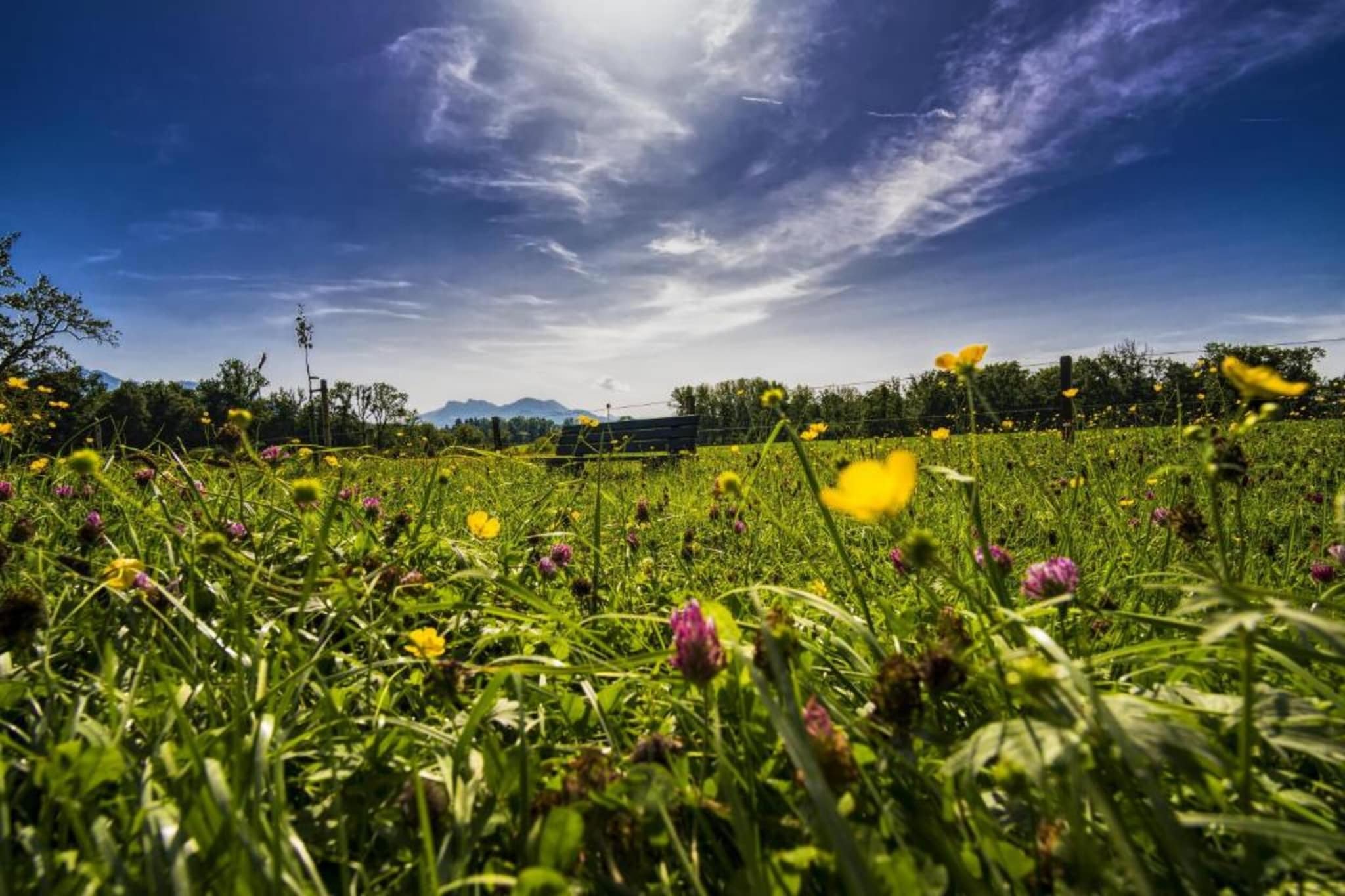Ferien im Oberallgäu-Gebiete Sommer 20 km