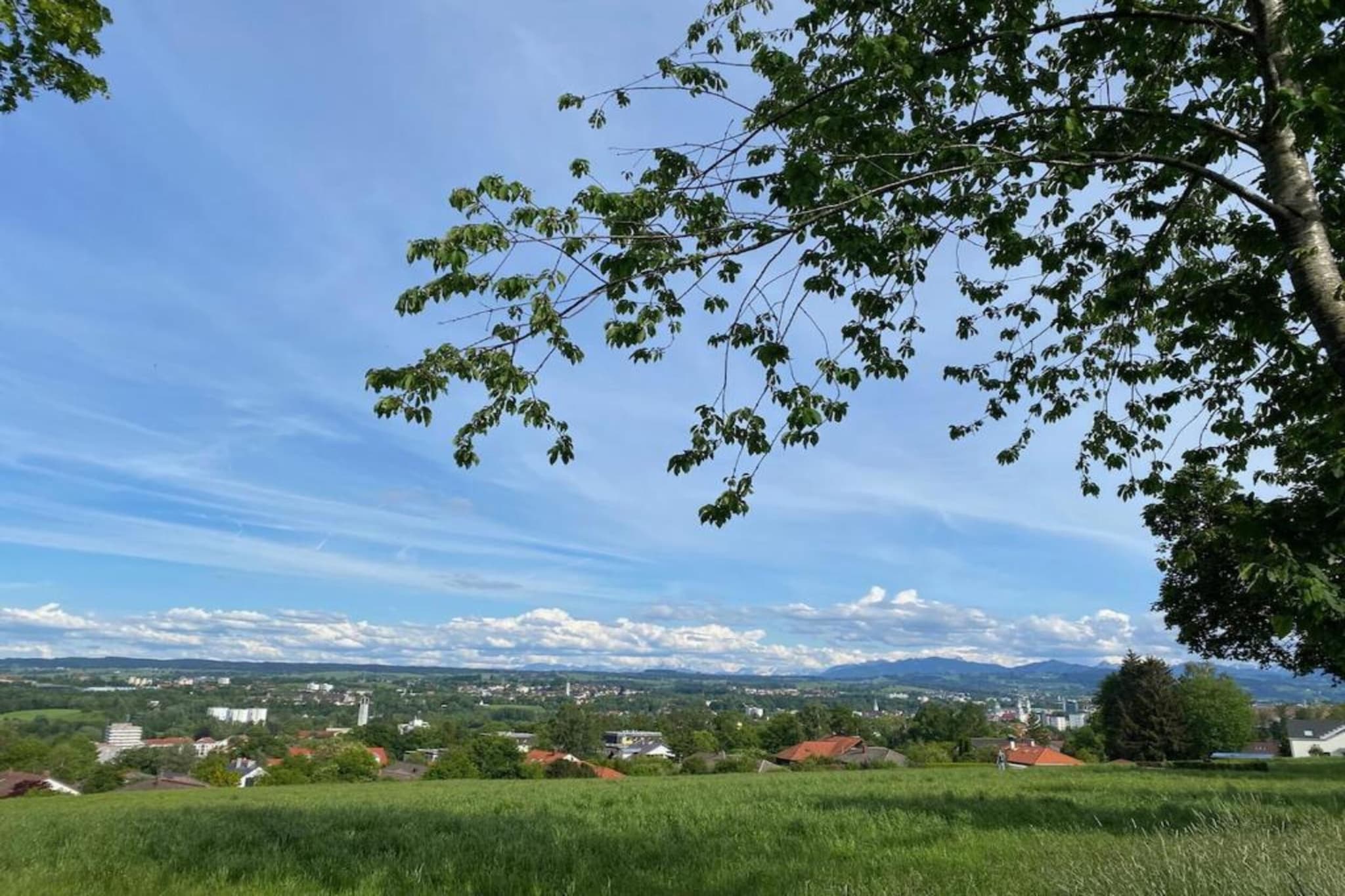 Ferien im Oberallgäu-Gebiete Sommer 20 km