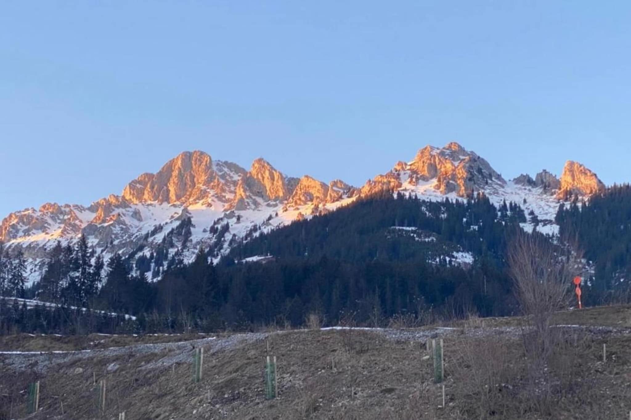 Ferien im Oberallgäu-Gebiete Sommer 20 km