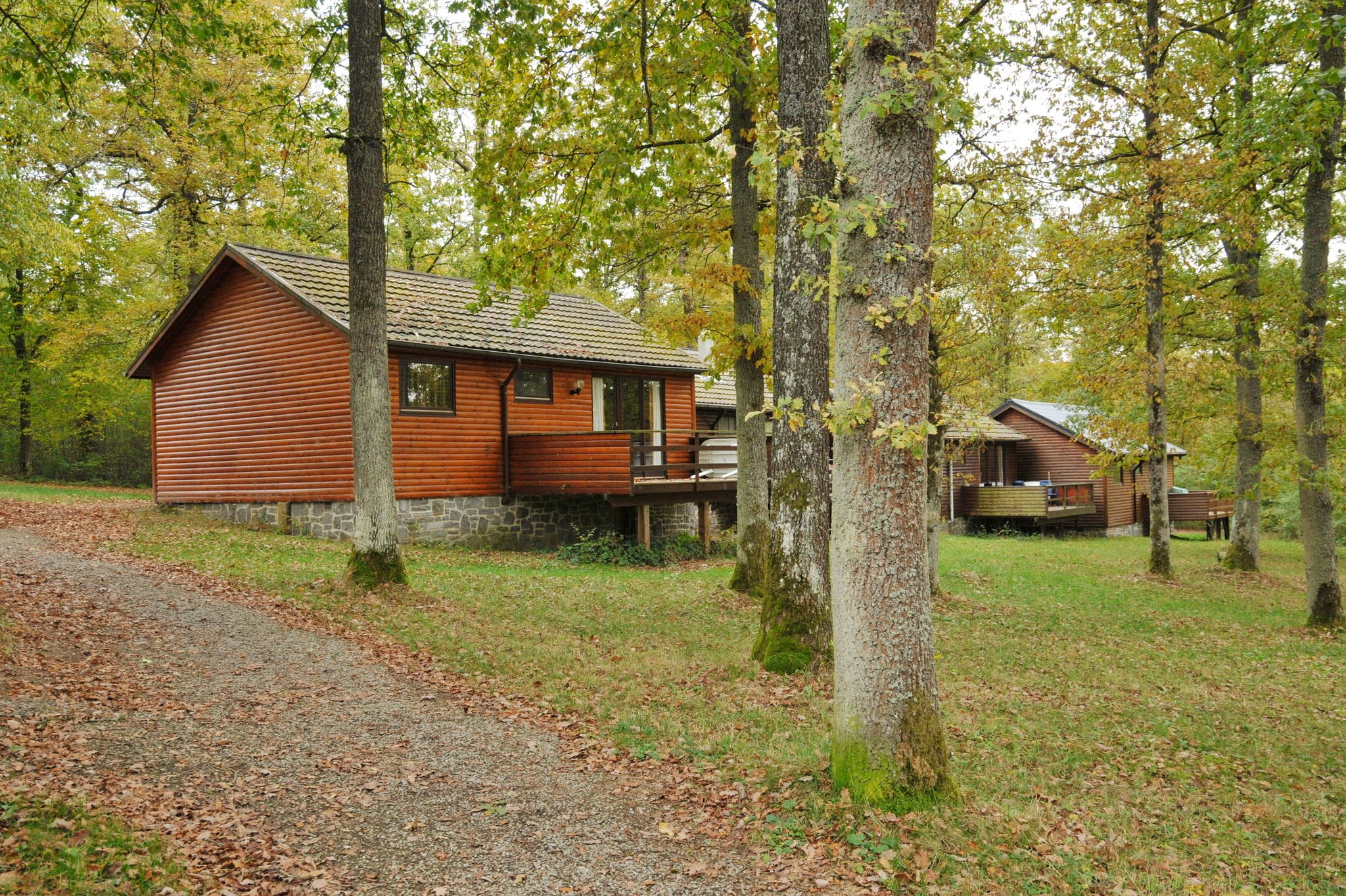 Cozy, wooden chalet with deck, just 15 km. from Durbuy