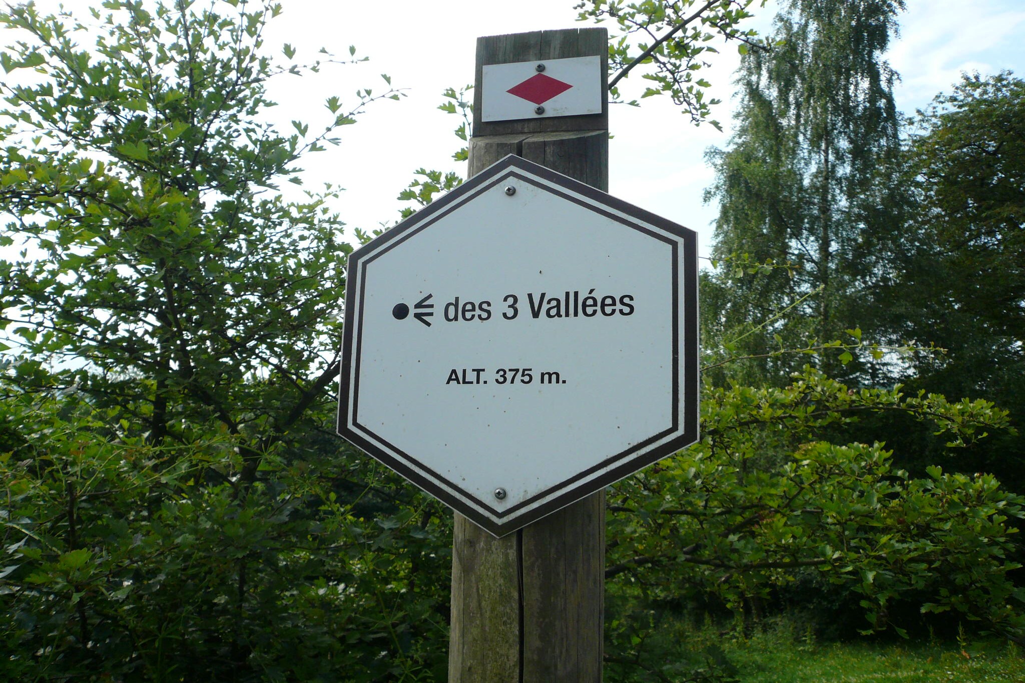 Vakantiehuis Lierneux - Trou de bra max. 12 personen 3 huisdieren 4 slaapkamers #35