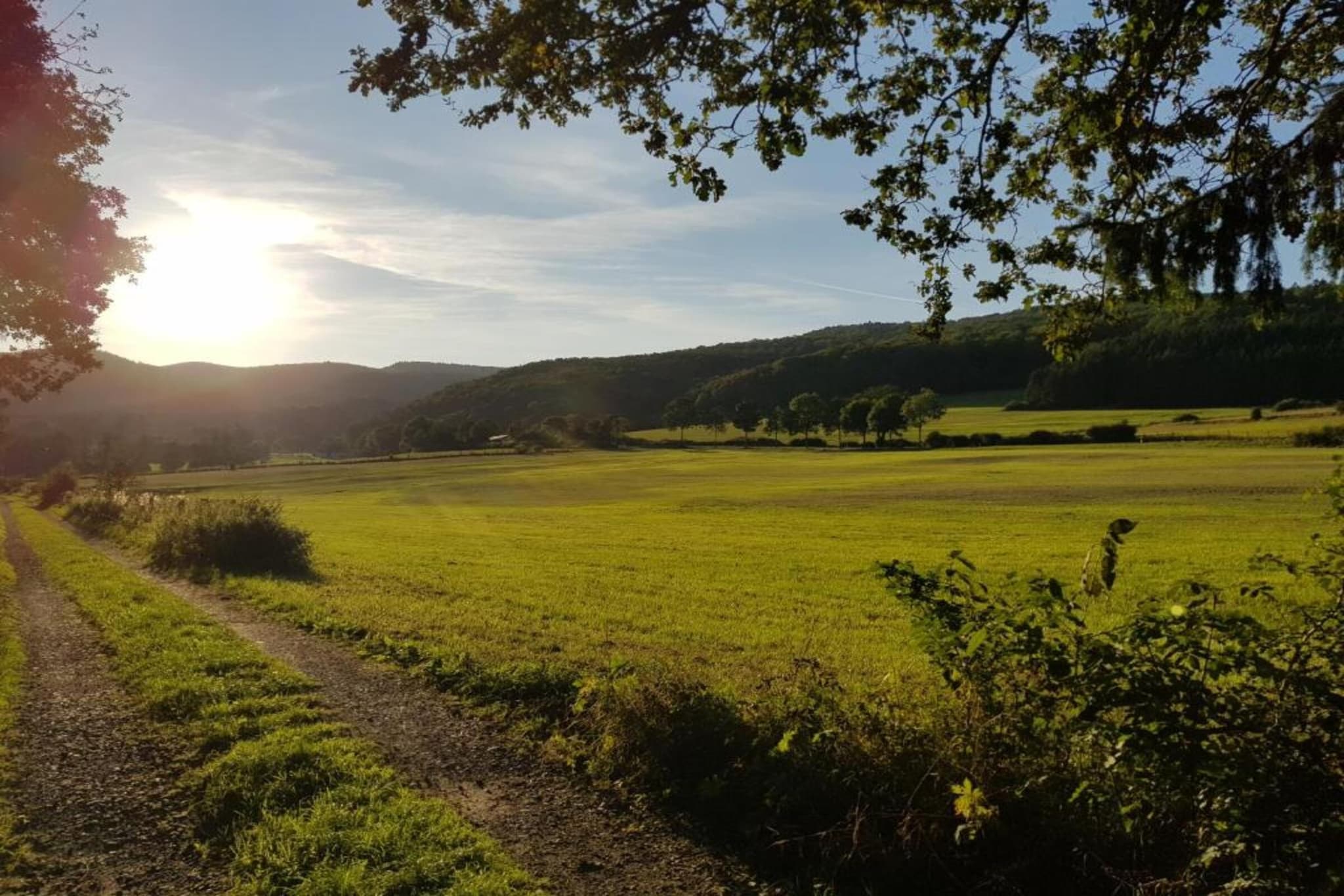 Medebach-Gebieden zomer 5km