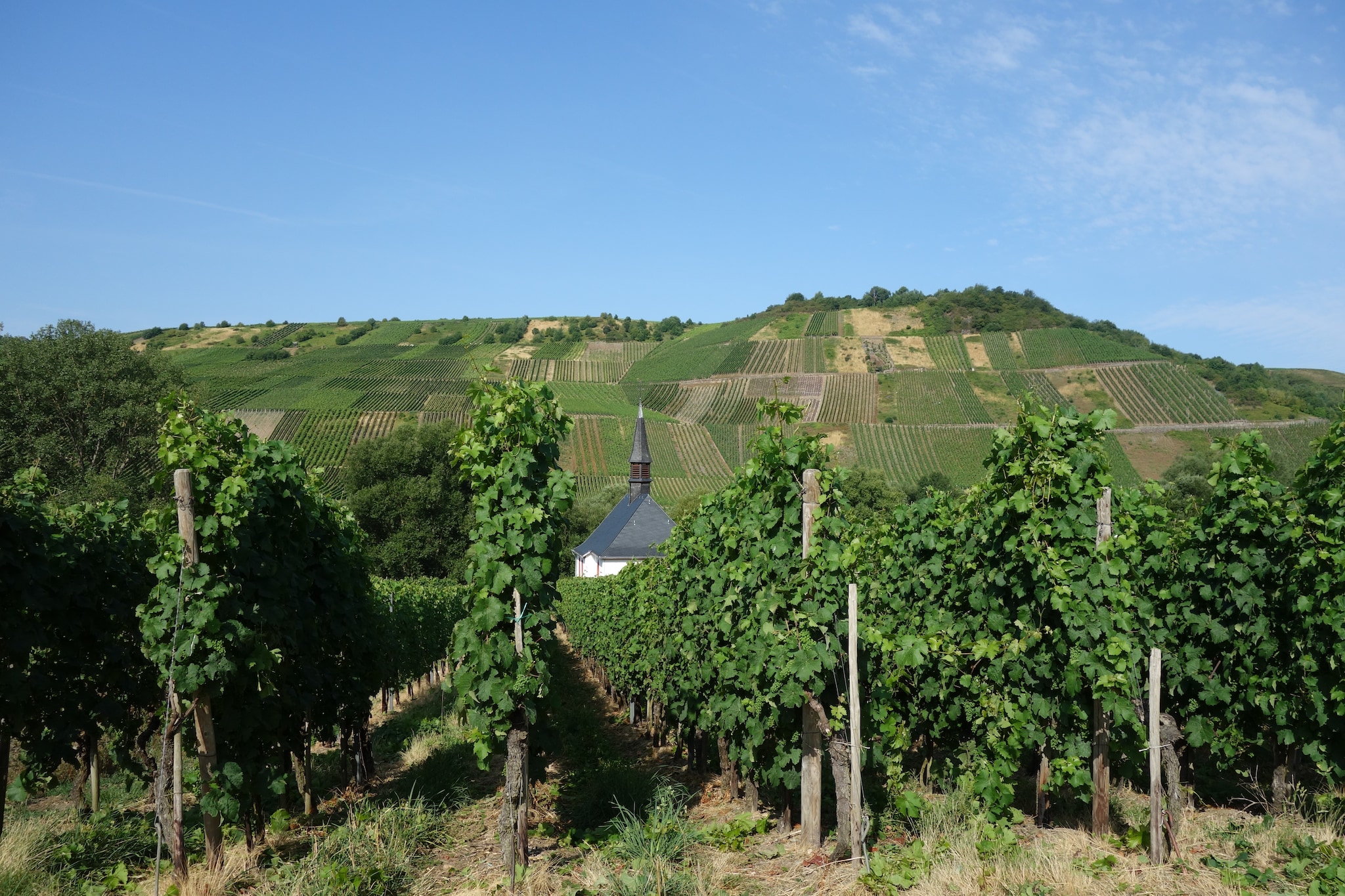 Stern-Gebiete Sommer 20 km