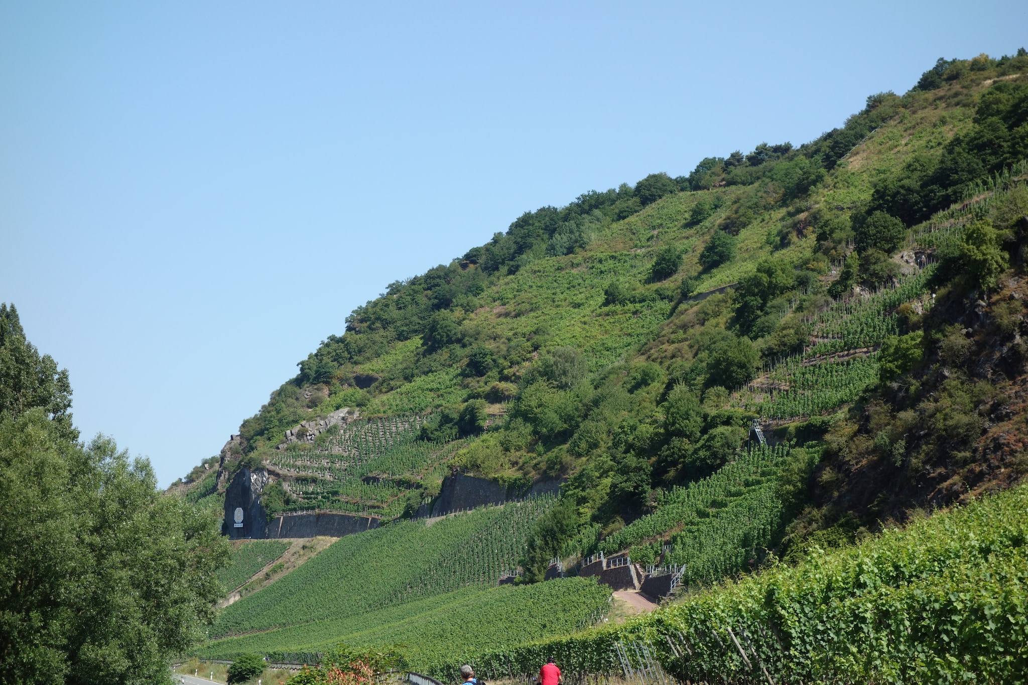 Stern-Gebiete Sommer 20 km
