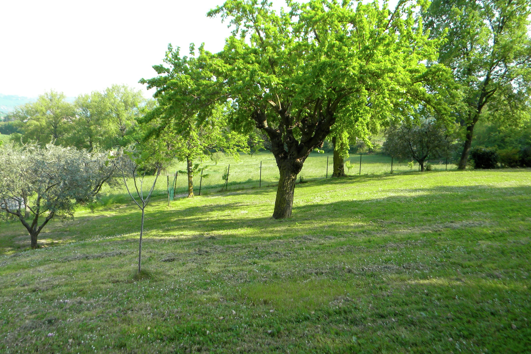 Casa Lella-Tuinen zomer