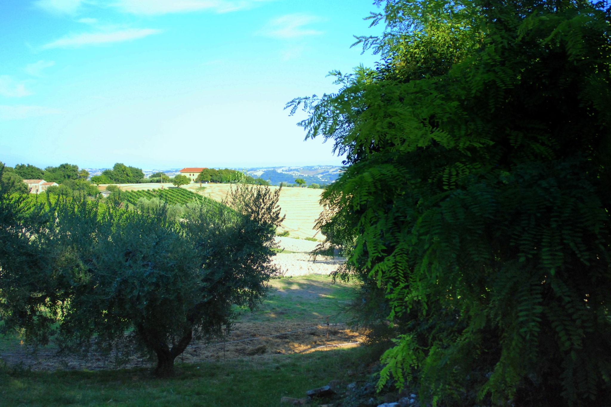 Casa Lella-Gebieden zomer 5km