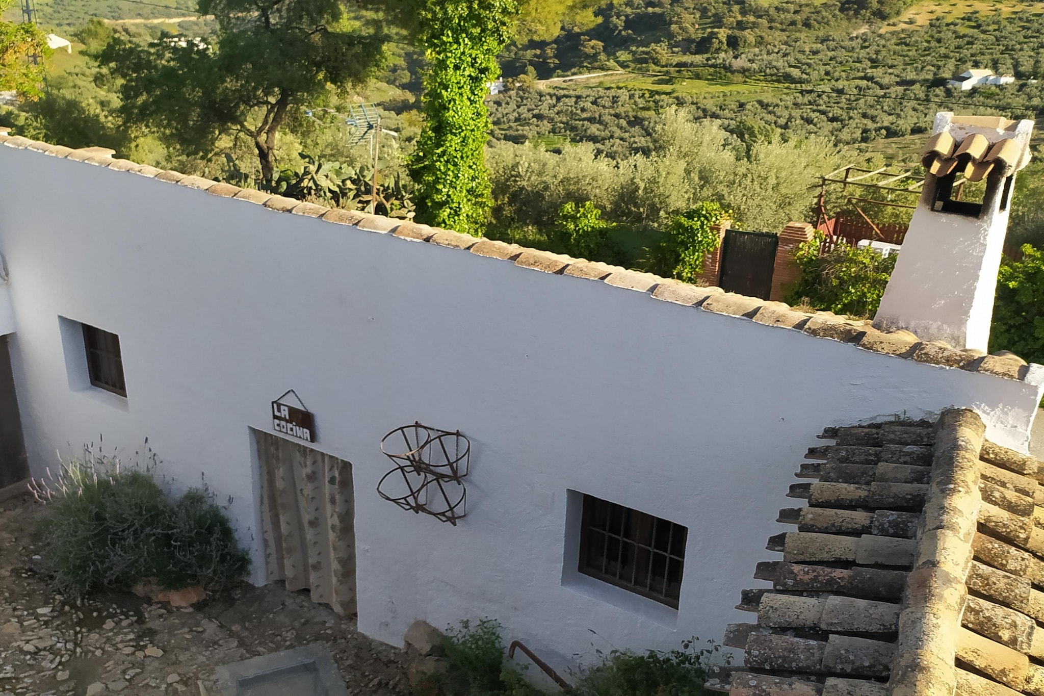 El Molino