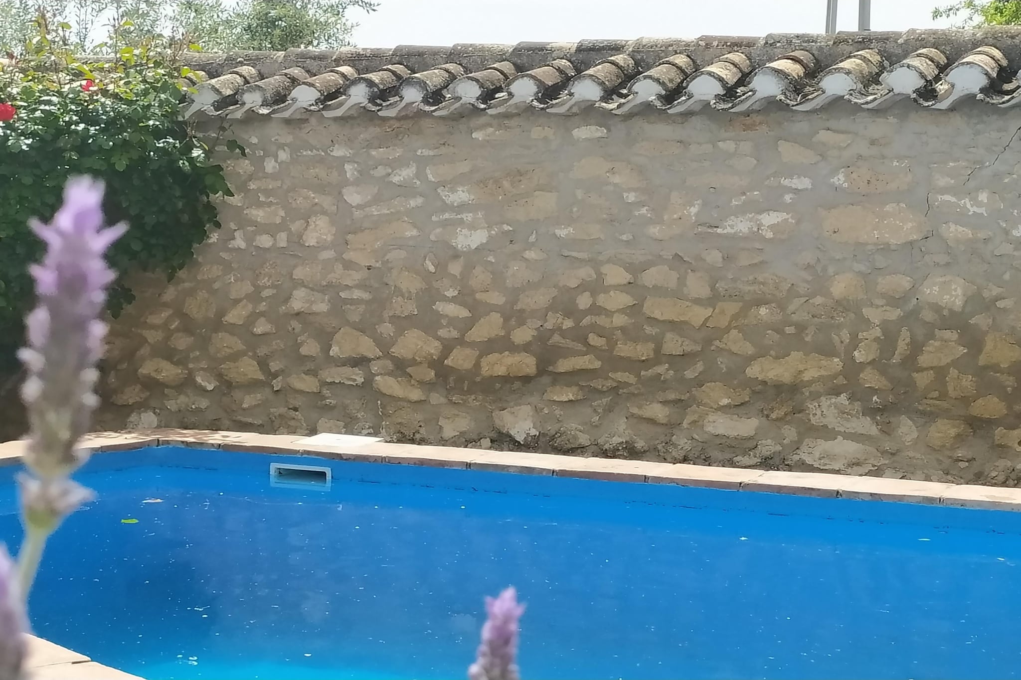 Pool Of House