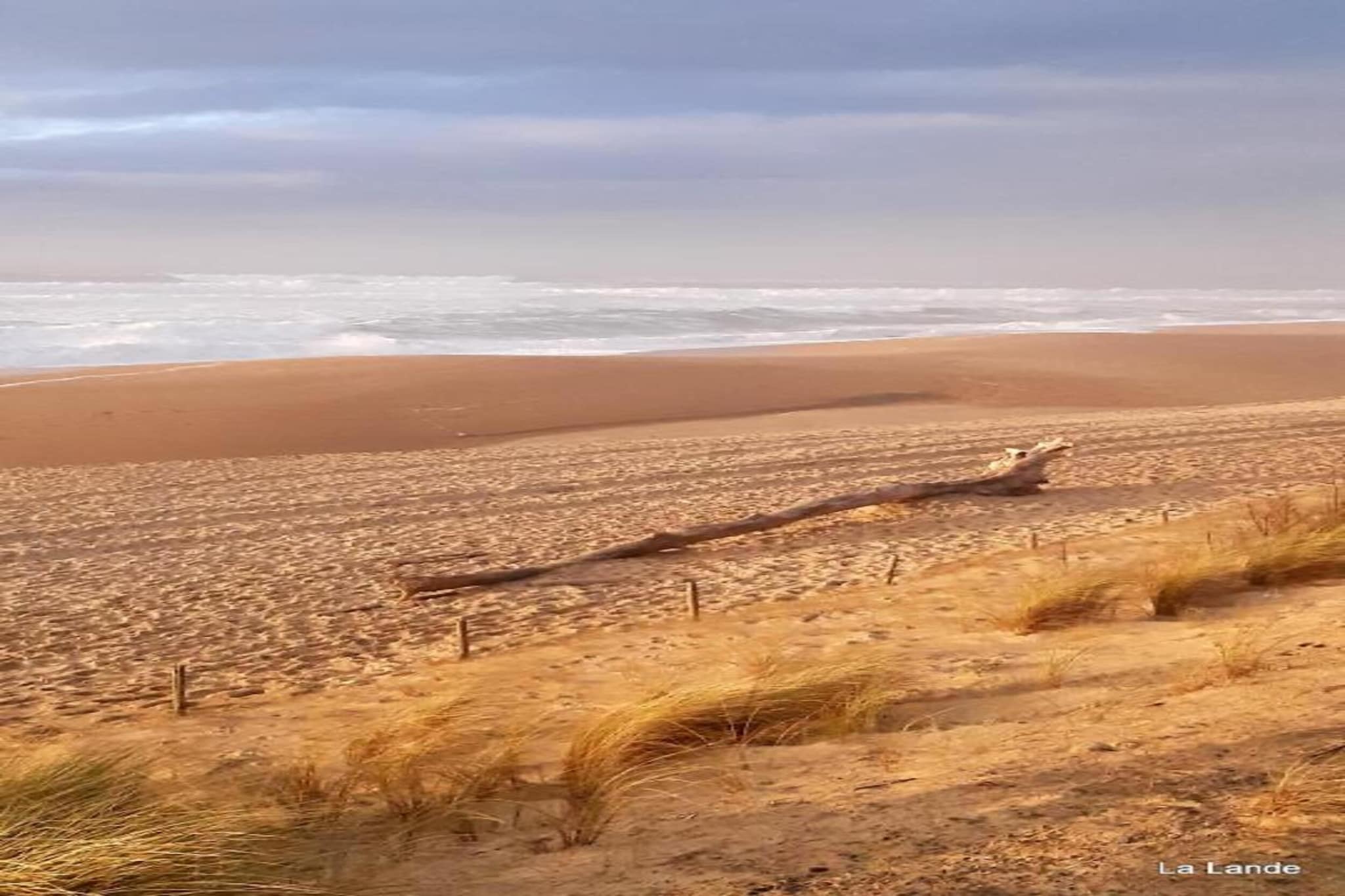 L'Allée des Dunes 4-Zones d'été à 20 km