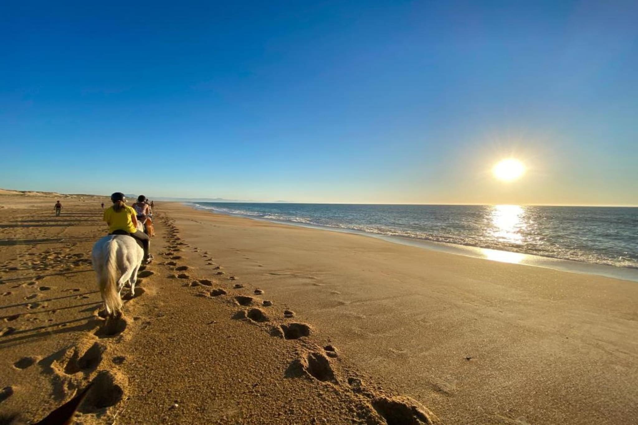 L'Allée des Dunes 4-Zones d'été à 20 km