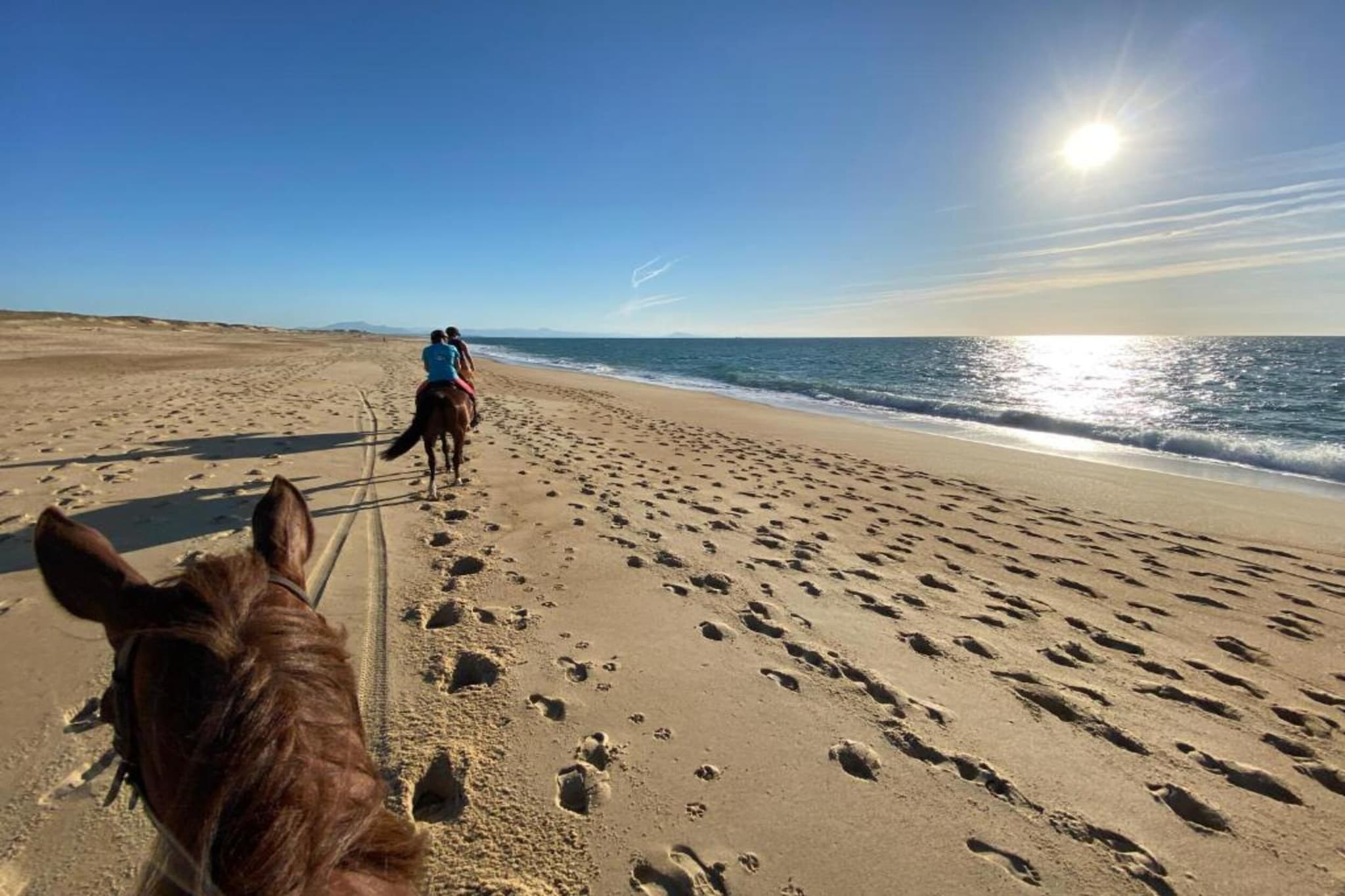 L'Allée des Dunes 4-Zones d'été à 20 km
