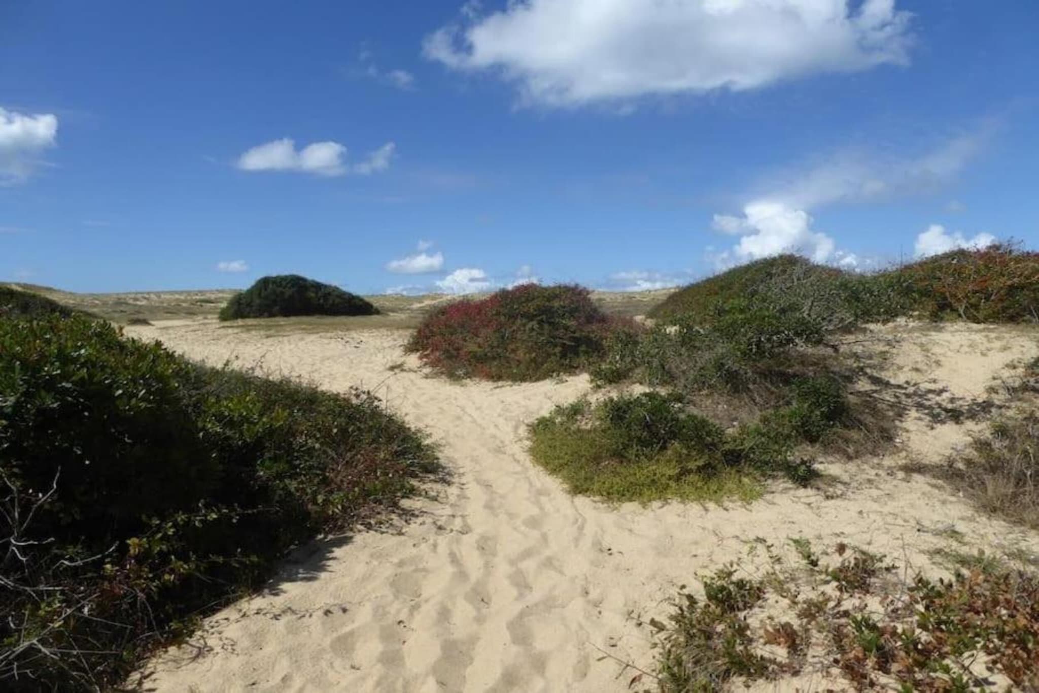 L'Allée des Dunes 4-Zones d'été à 20 km