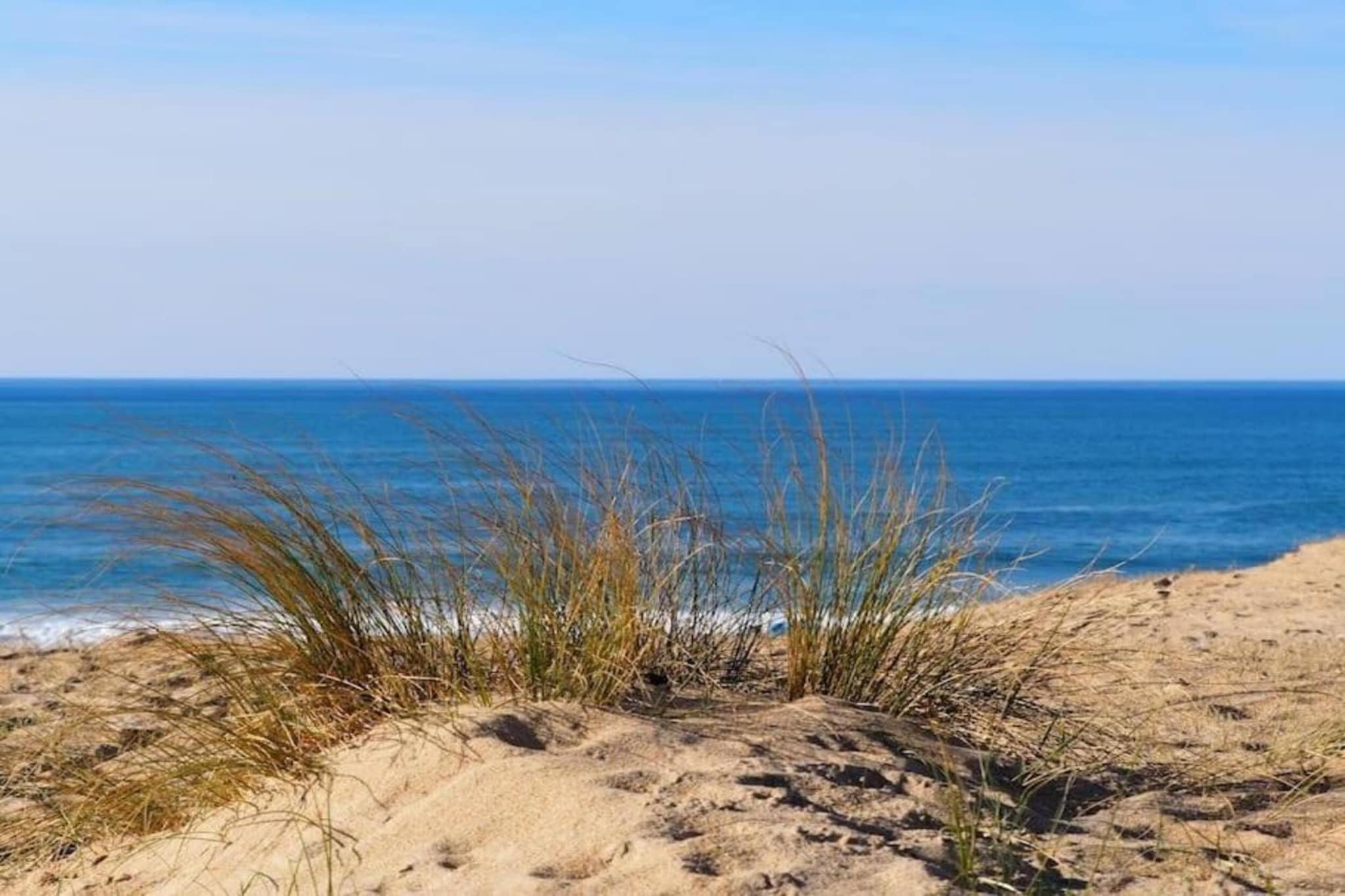 L'Allée des Dunes 4-Zones d'été à 20 km