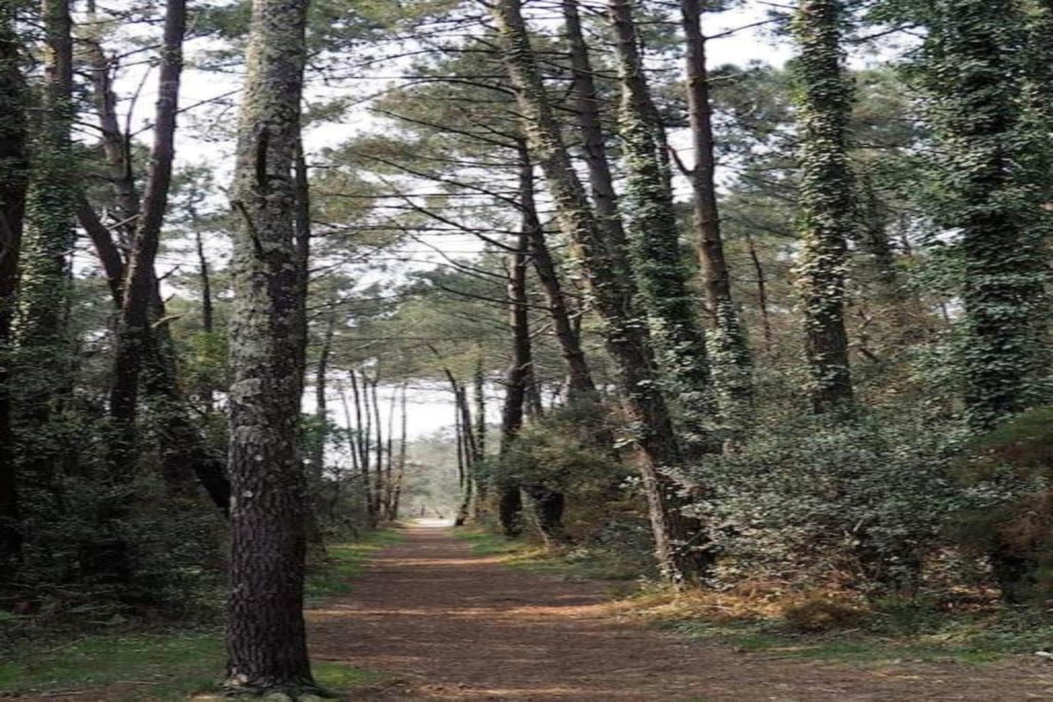 L'Allée des Dunes 4-Zones d'été à 20 km