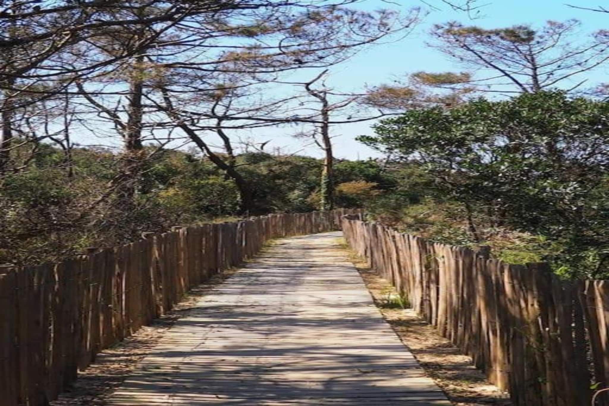 L'Allée des Dunes 4-Zones d'été à 20 km