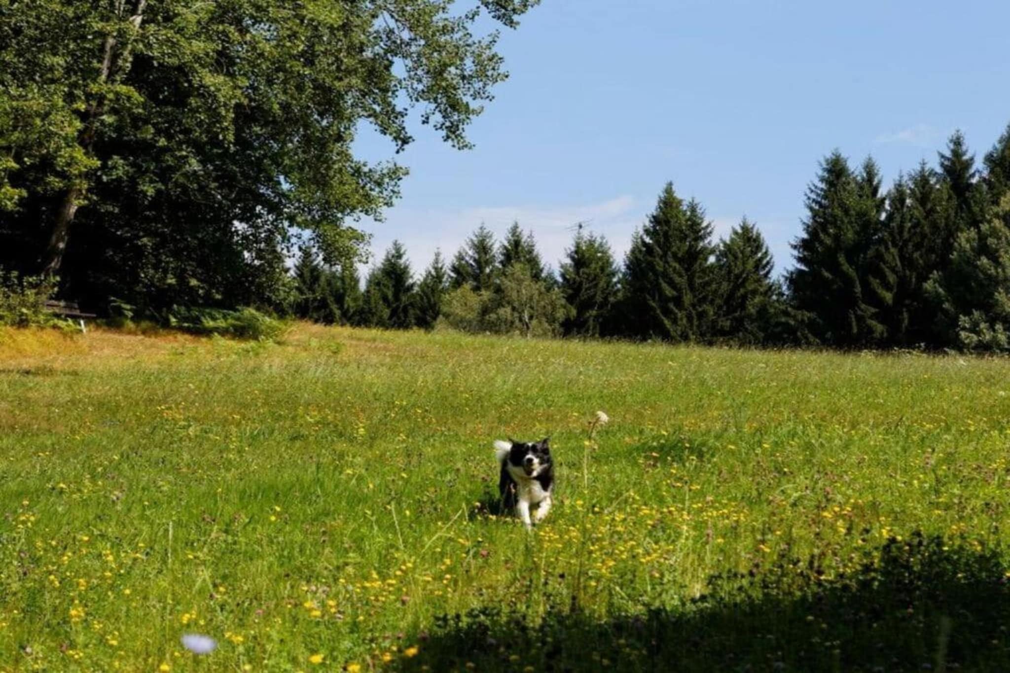 Im Zellertal-Gebieden zomer 20km