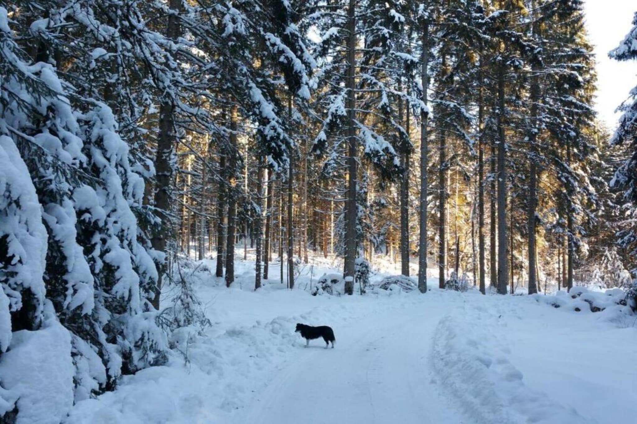 Im Zellertal-Gebied winter 20km