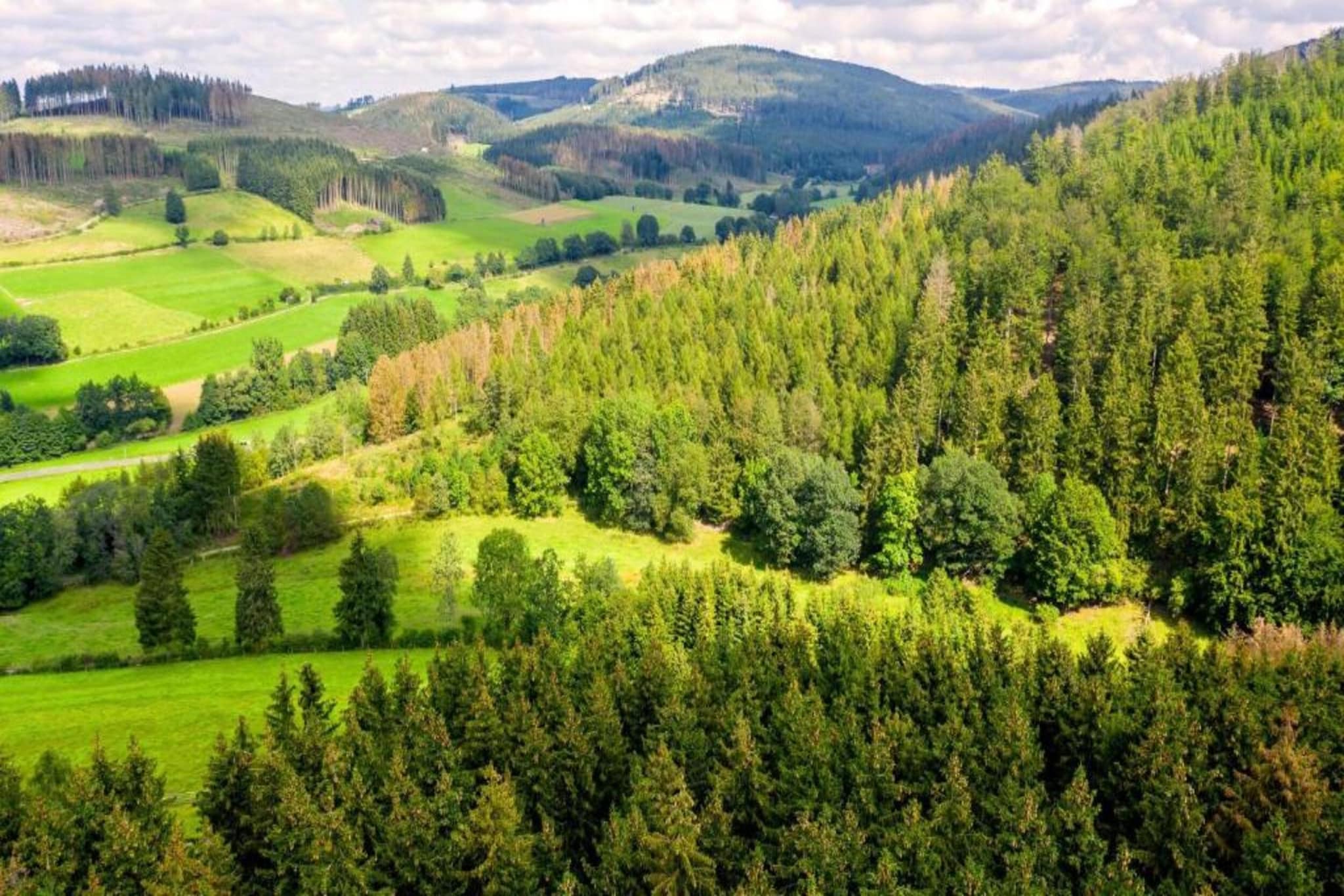 Pönblick-Gebieden zomer 5km