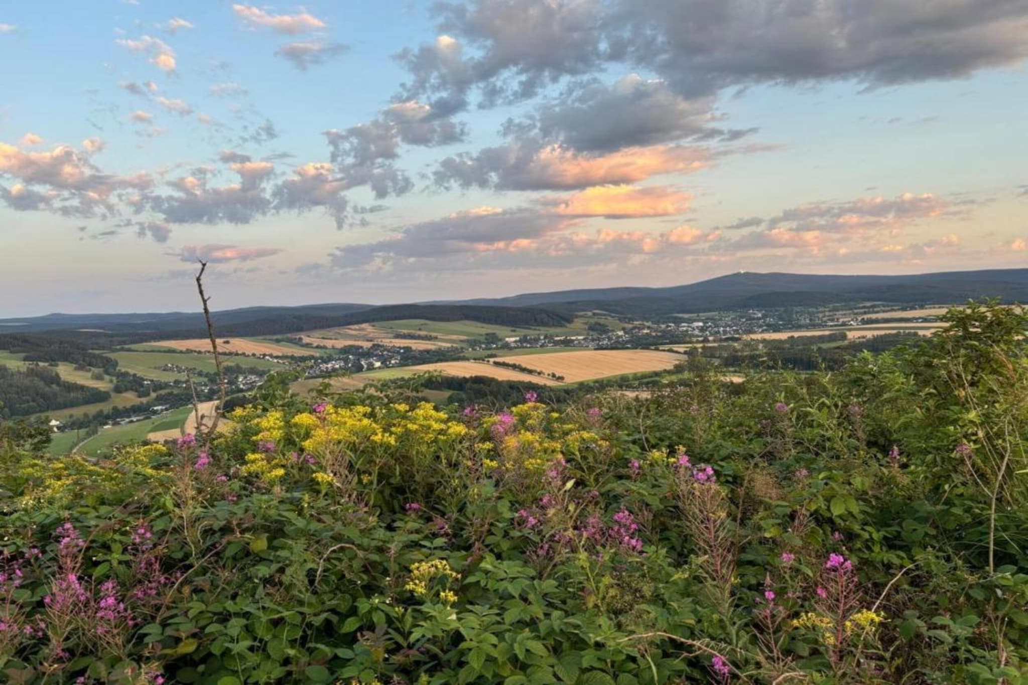 Honighäusl-Areas summer 20km