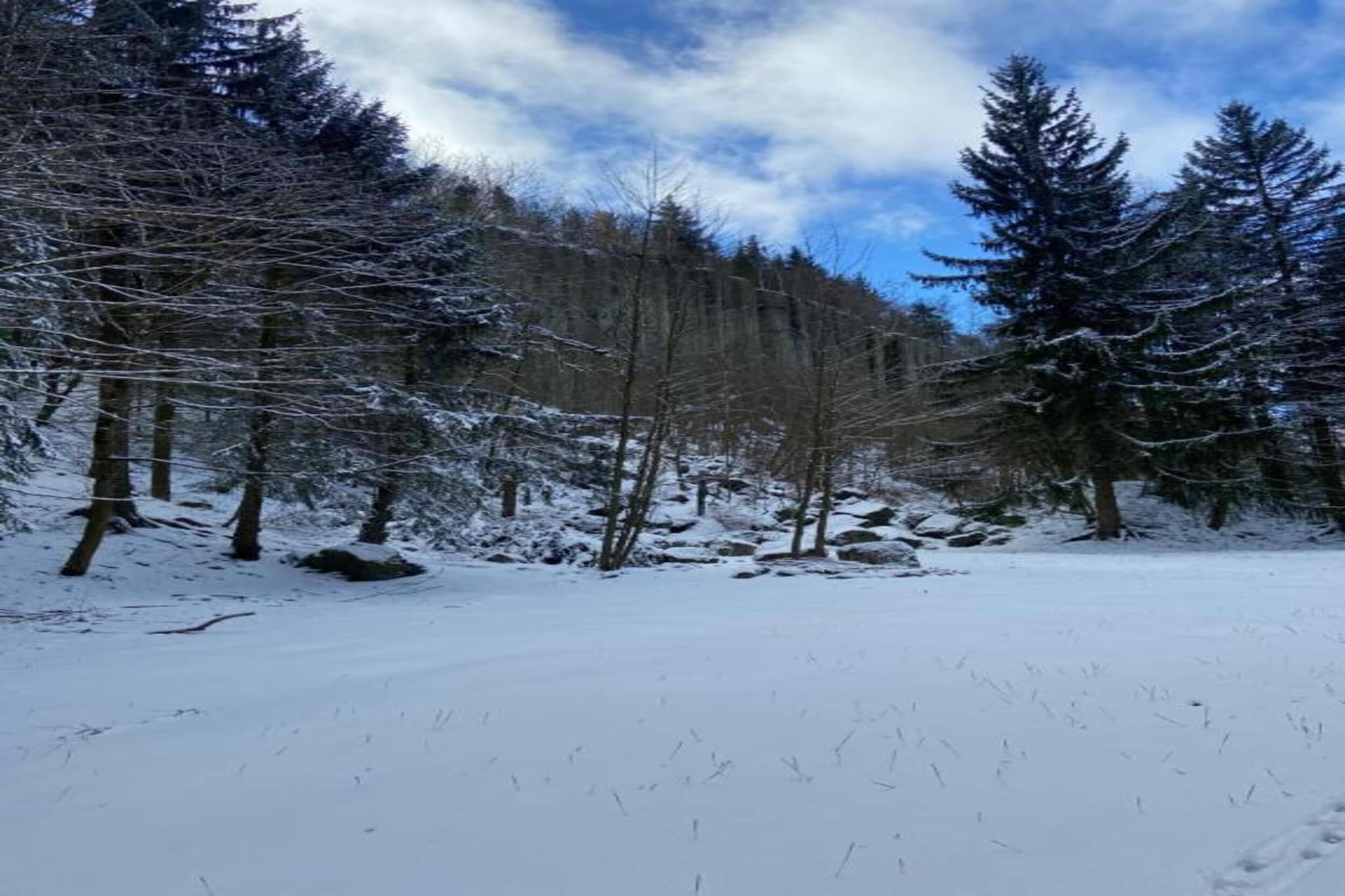 Honighäusl-Area winter 20km
