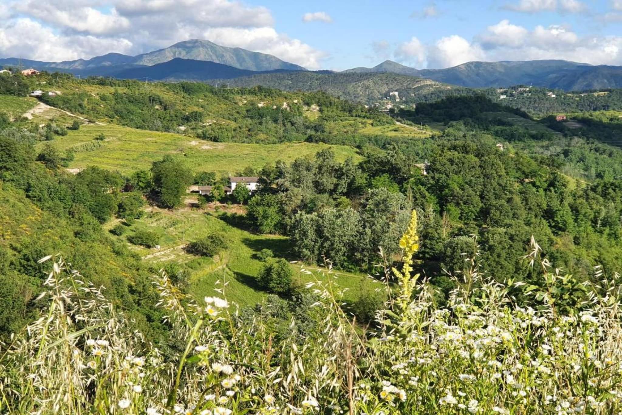 Castagnola-Gebieden zomer 20km