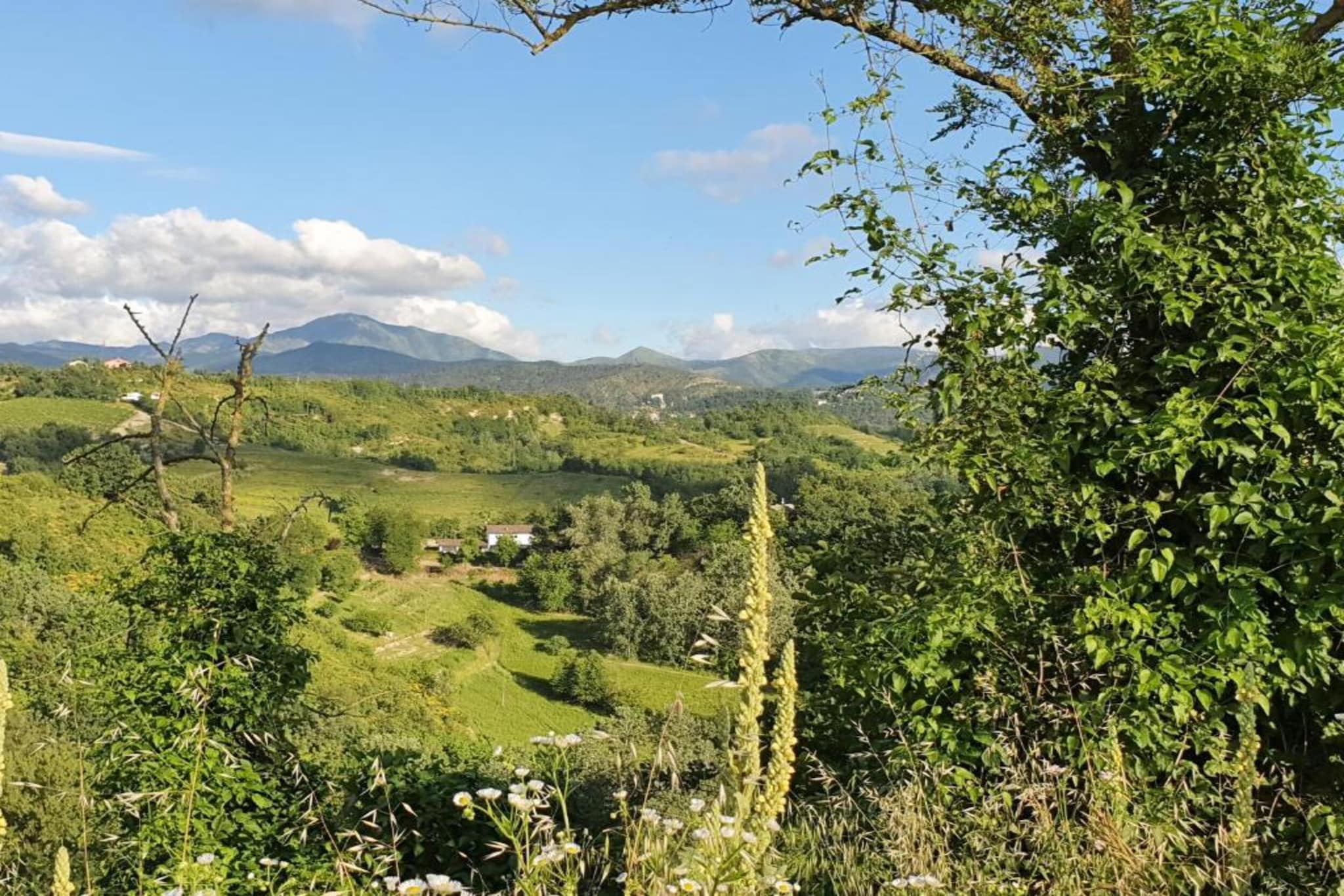 Castagnola-Gebieden zomer 20km