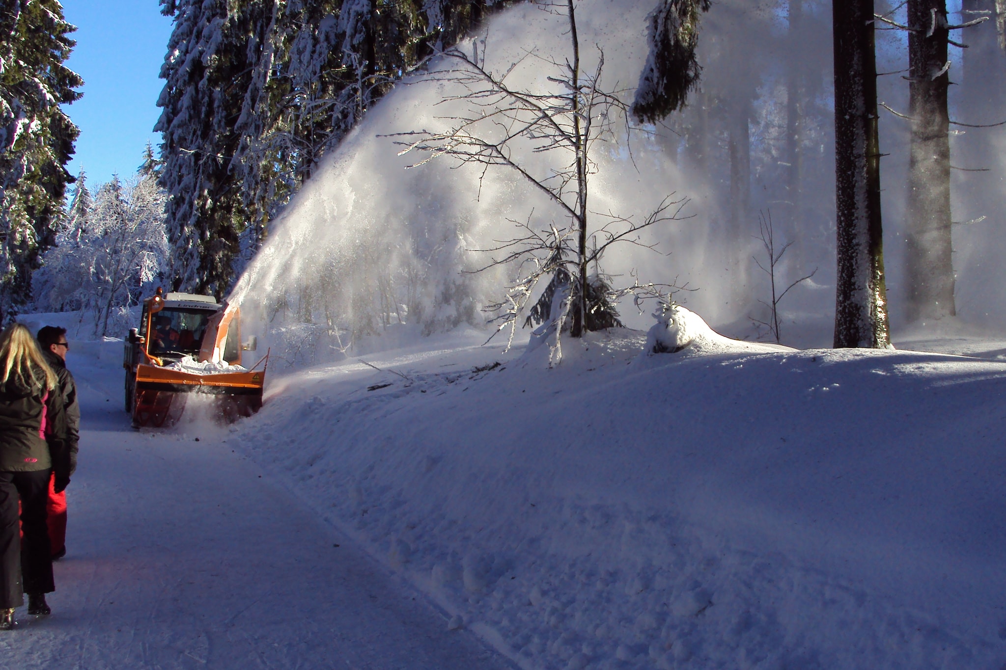 Ferienhaus in Winterberg- Atlastenberg