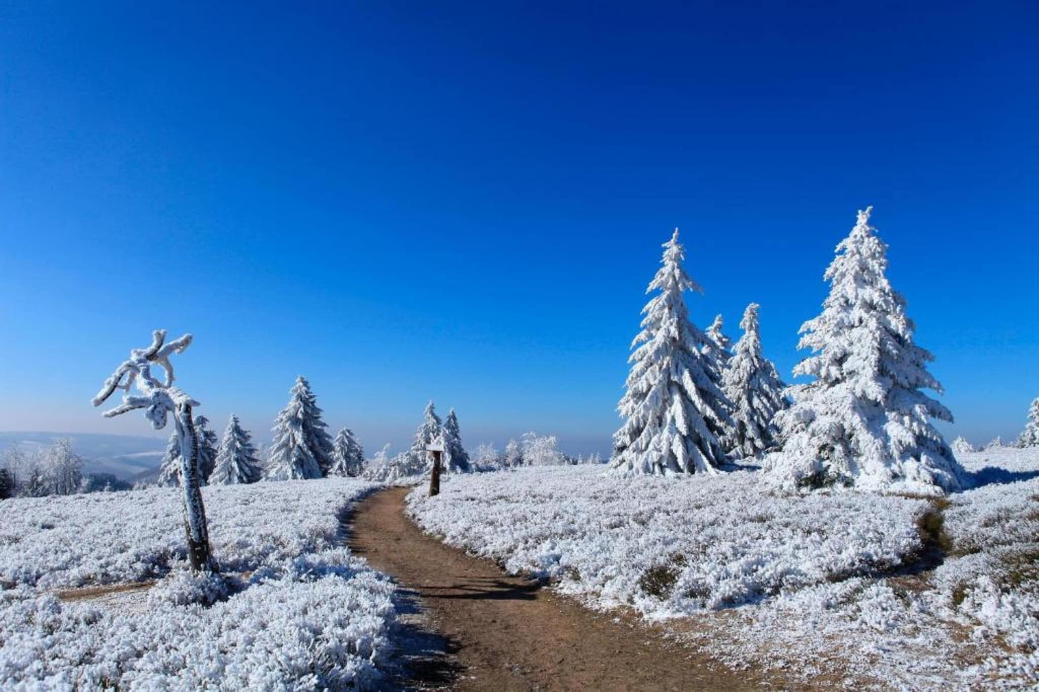 Zum Kahlen Asten-Gebied winter 5km