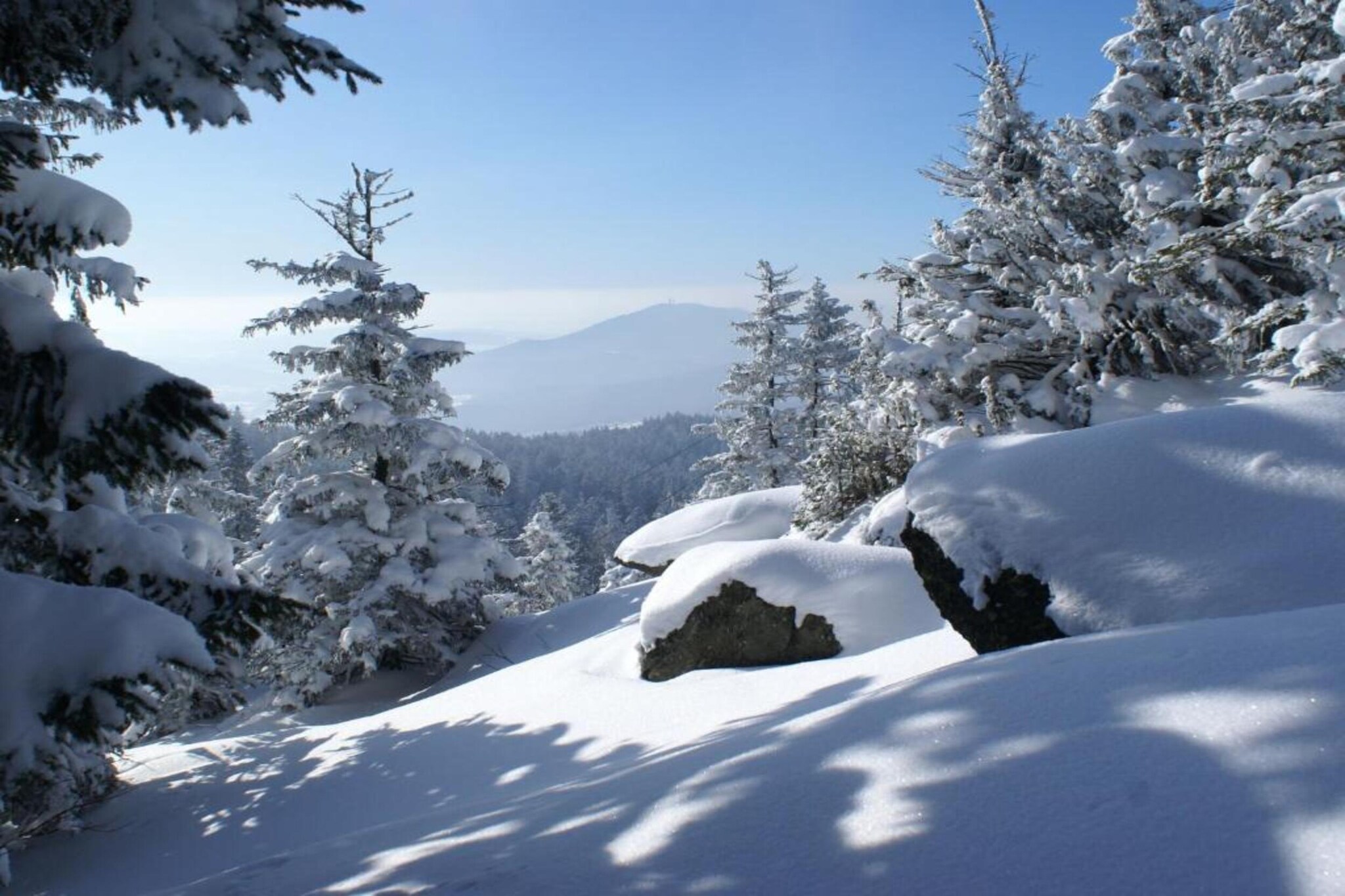 Ferienhaus mit Whirlpool und Sauna in Viechtach-Gebied winter 20km