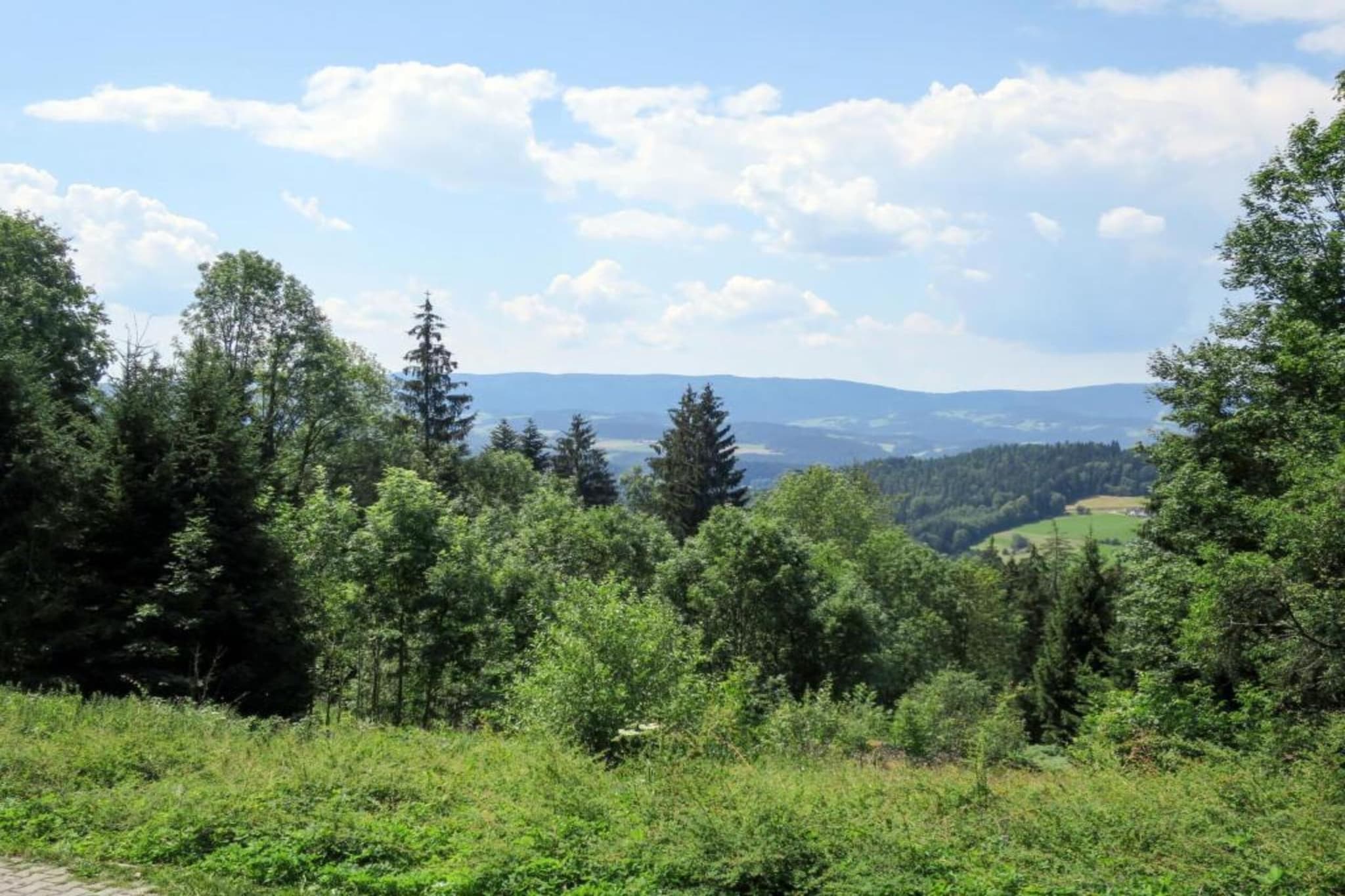 Ferienhaus mit Whirlpool und Sauna in Viechtach-Gebieden zomer 20km