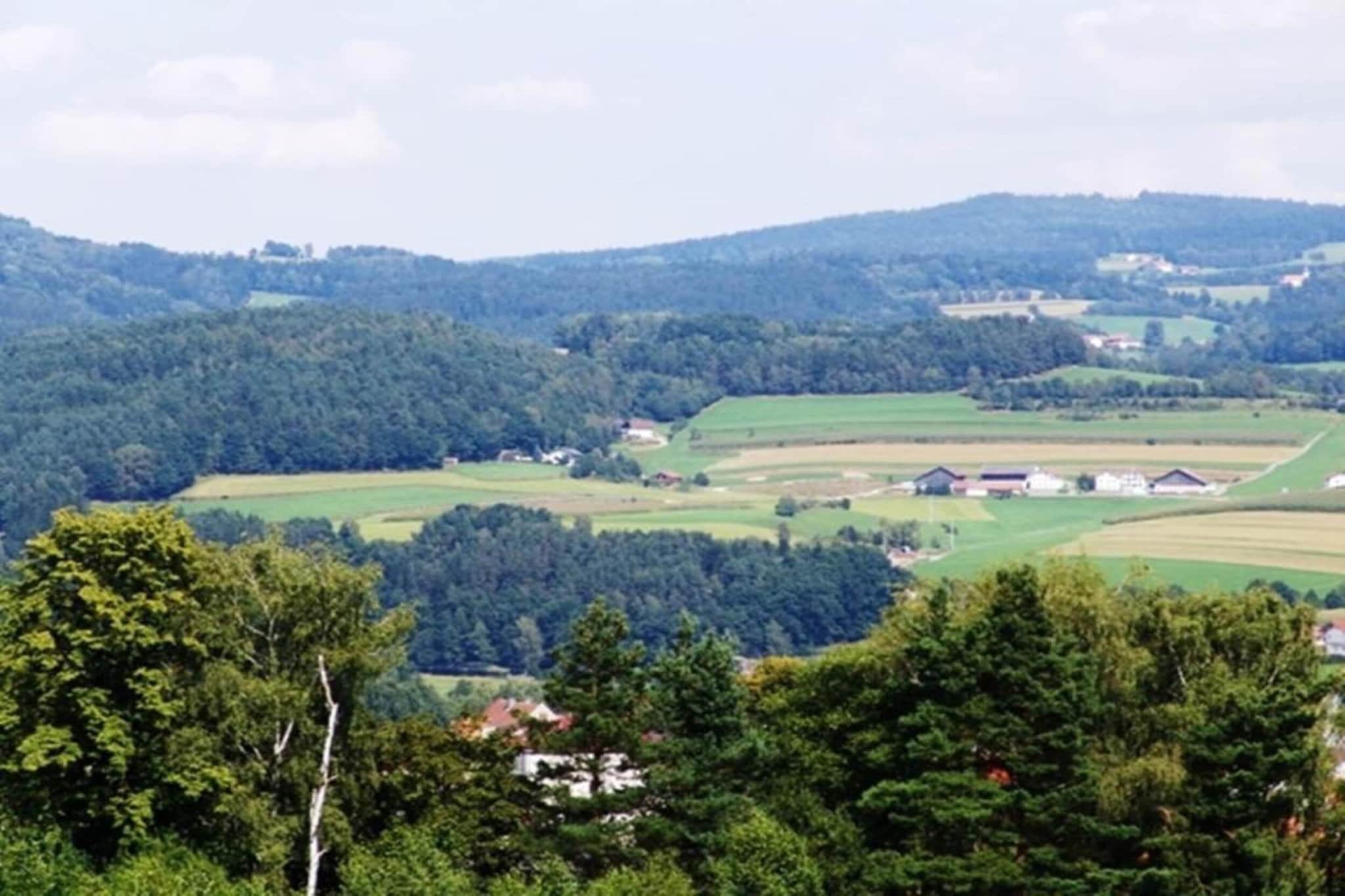 Ferienhaus mit Whirlpool und Sauna in Viechtach-Gebieden zomer 20km