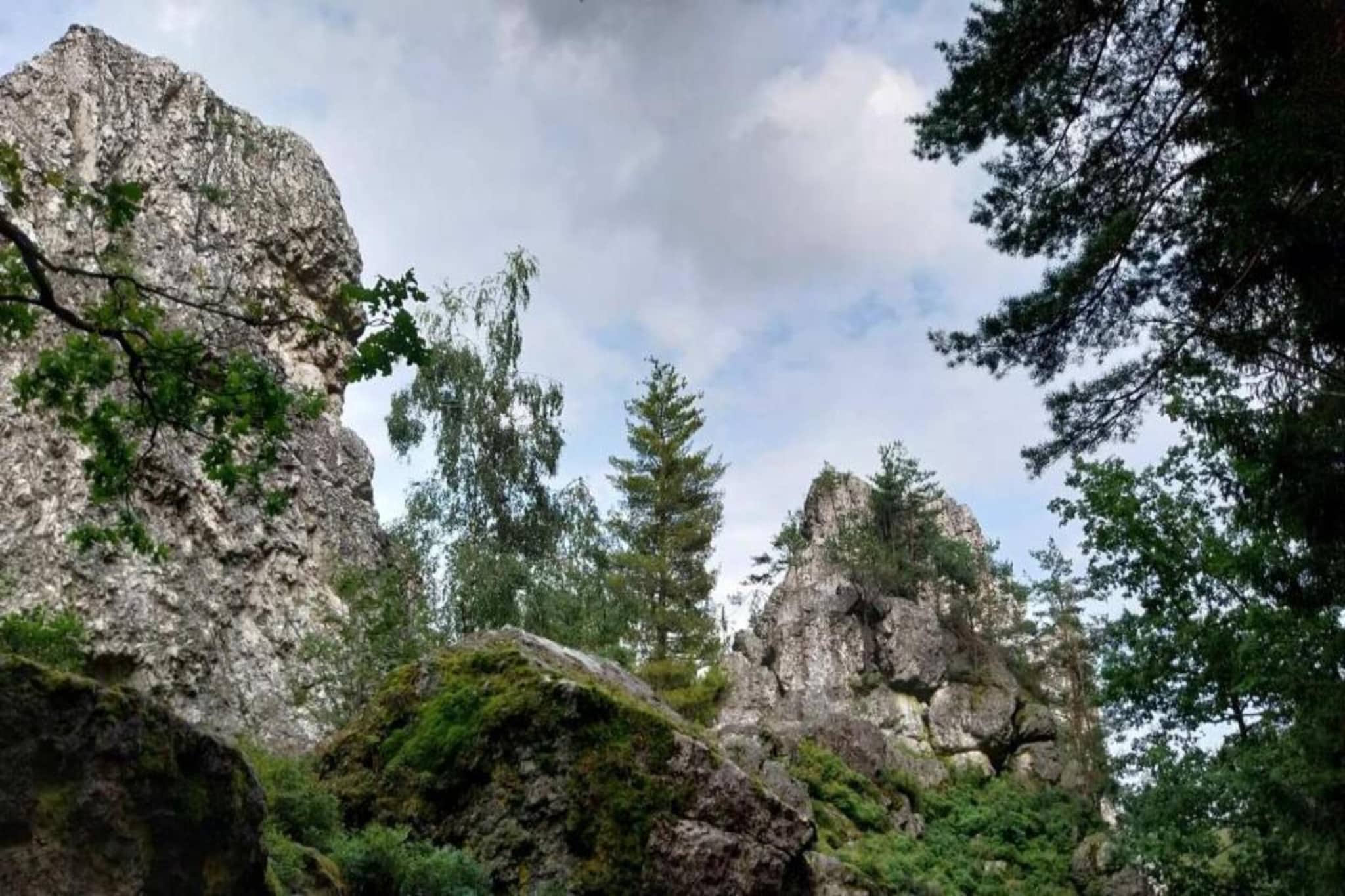 Ferienhaus mit Whirlpool und Sauna in Viechtach-Gebieden zomer 20km