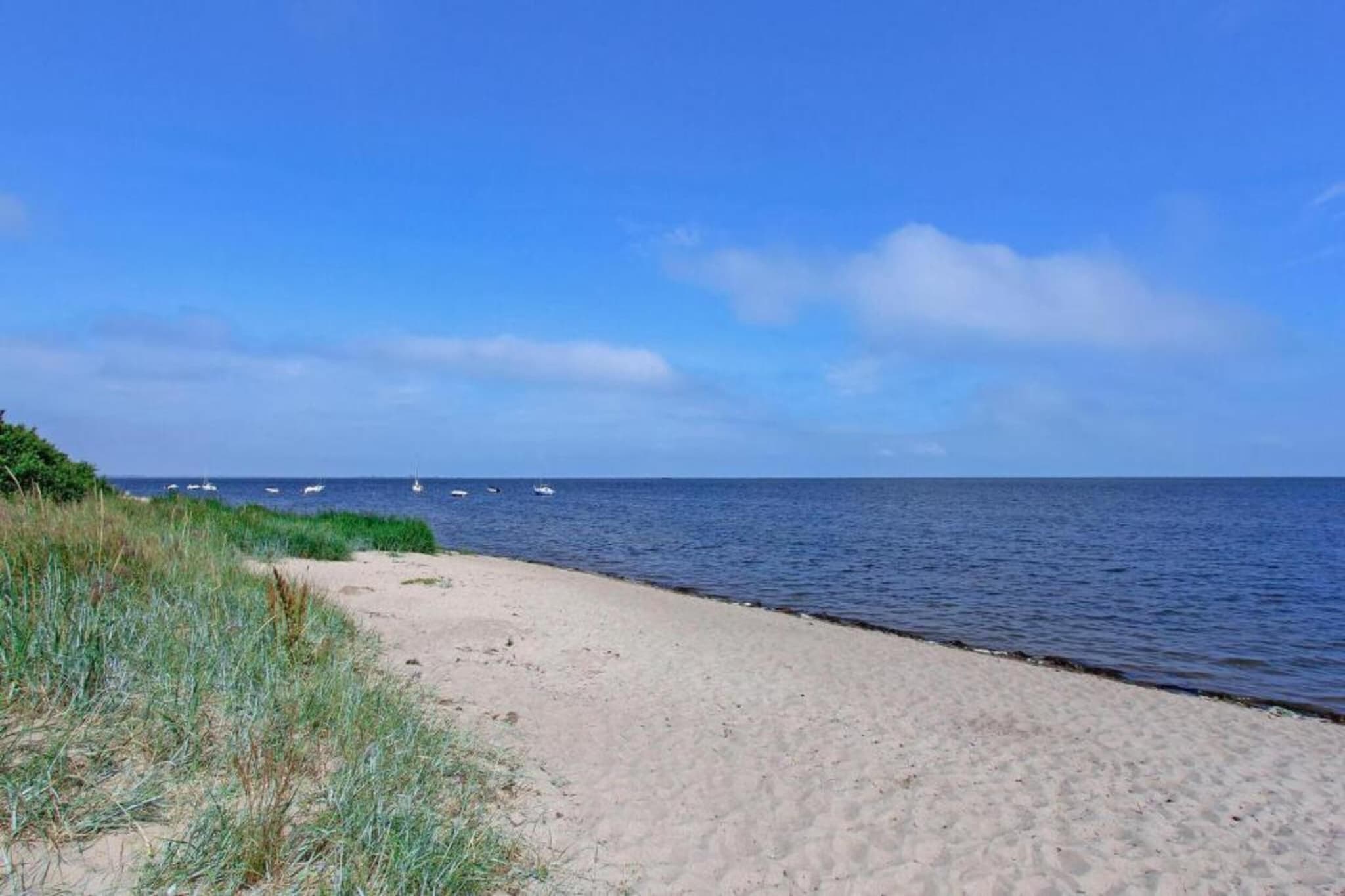 Ferienwohnung Waldeifel-Gebieden zomer 20km