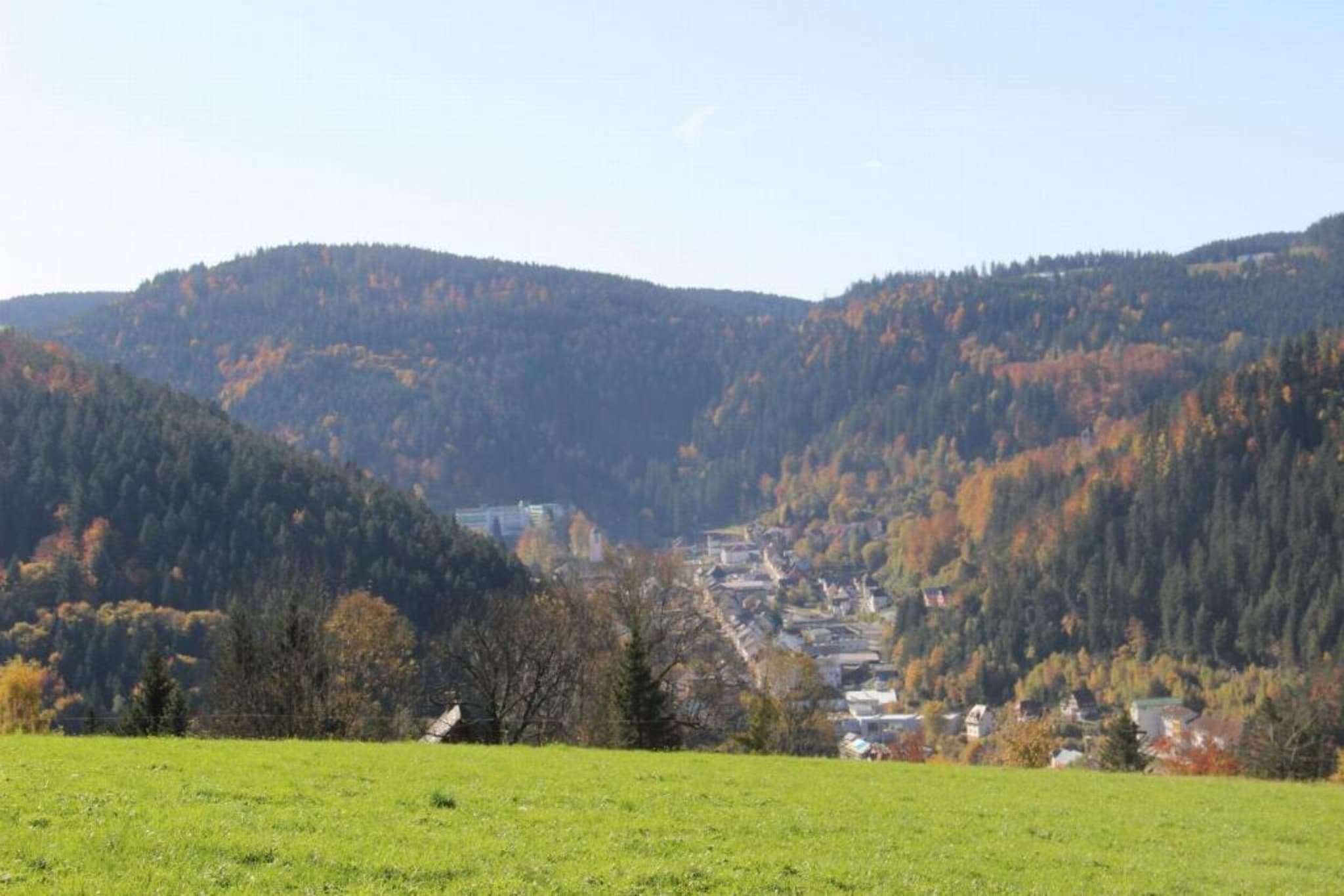 Schwarzwald-Gebieden zomer 20km