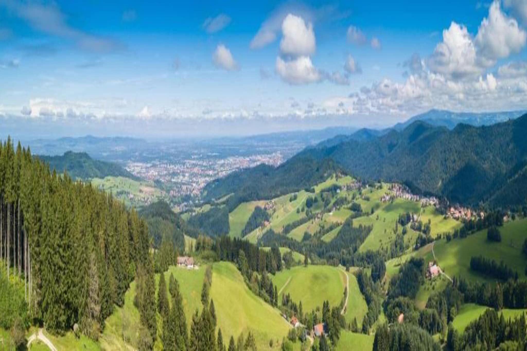 Schwarzwald-Gebieden zomer 20km