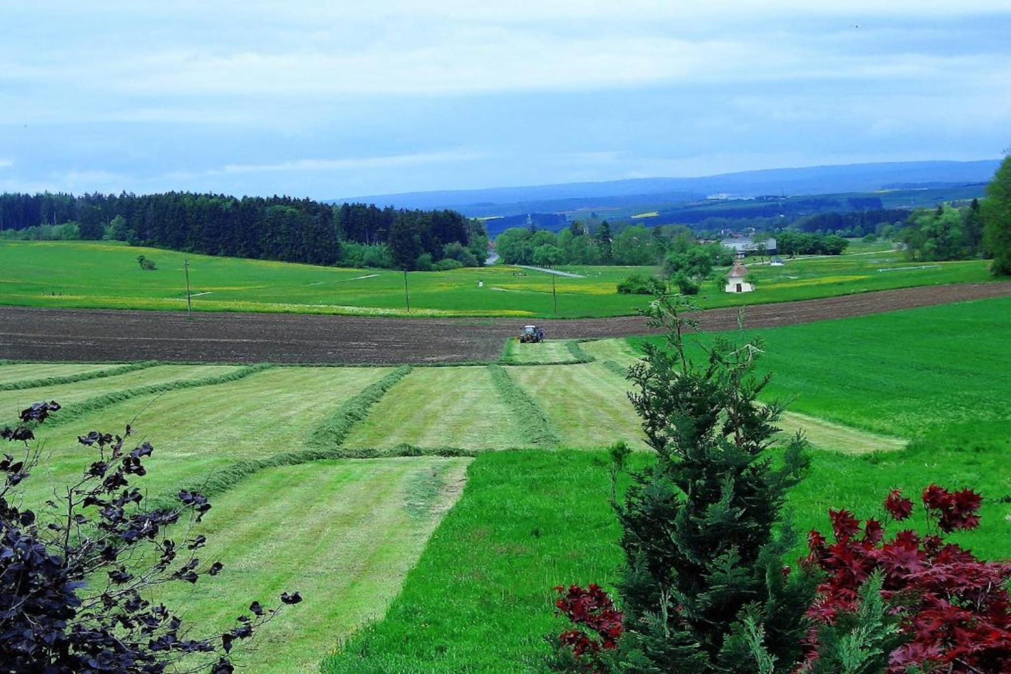 Schwarzwald-Gebieden zomer 20km